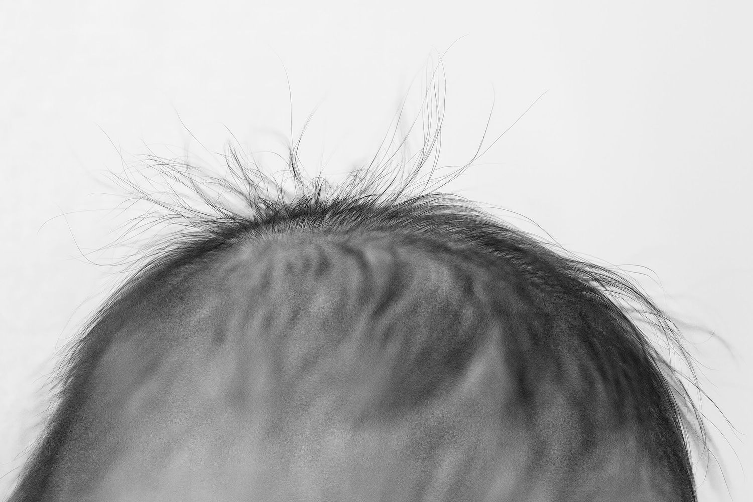 Ottawa newborn session in-home or studio