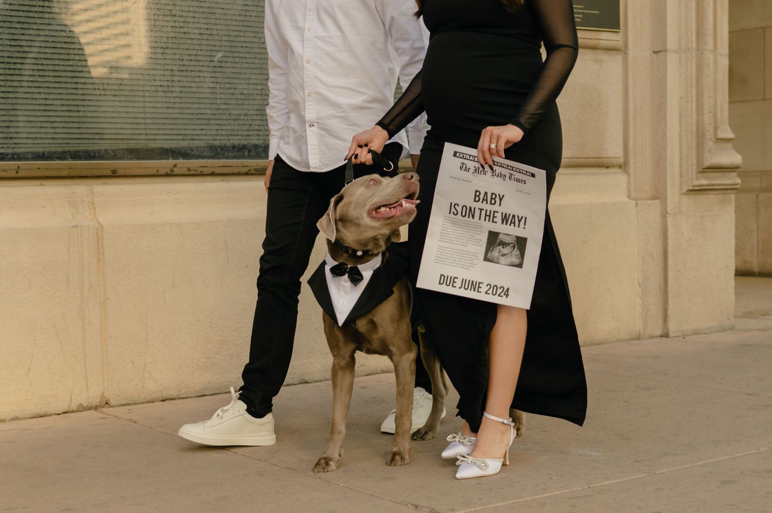 couple in black with their dog in a tuxedo bowtie holding a baby is on the way newspaper for a phoenix pregnancy announcement