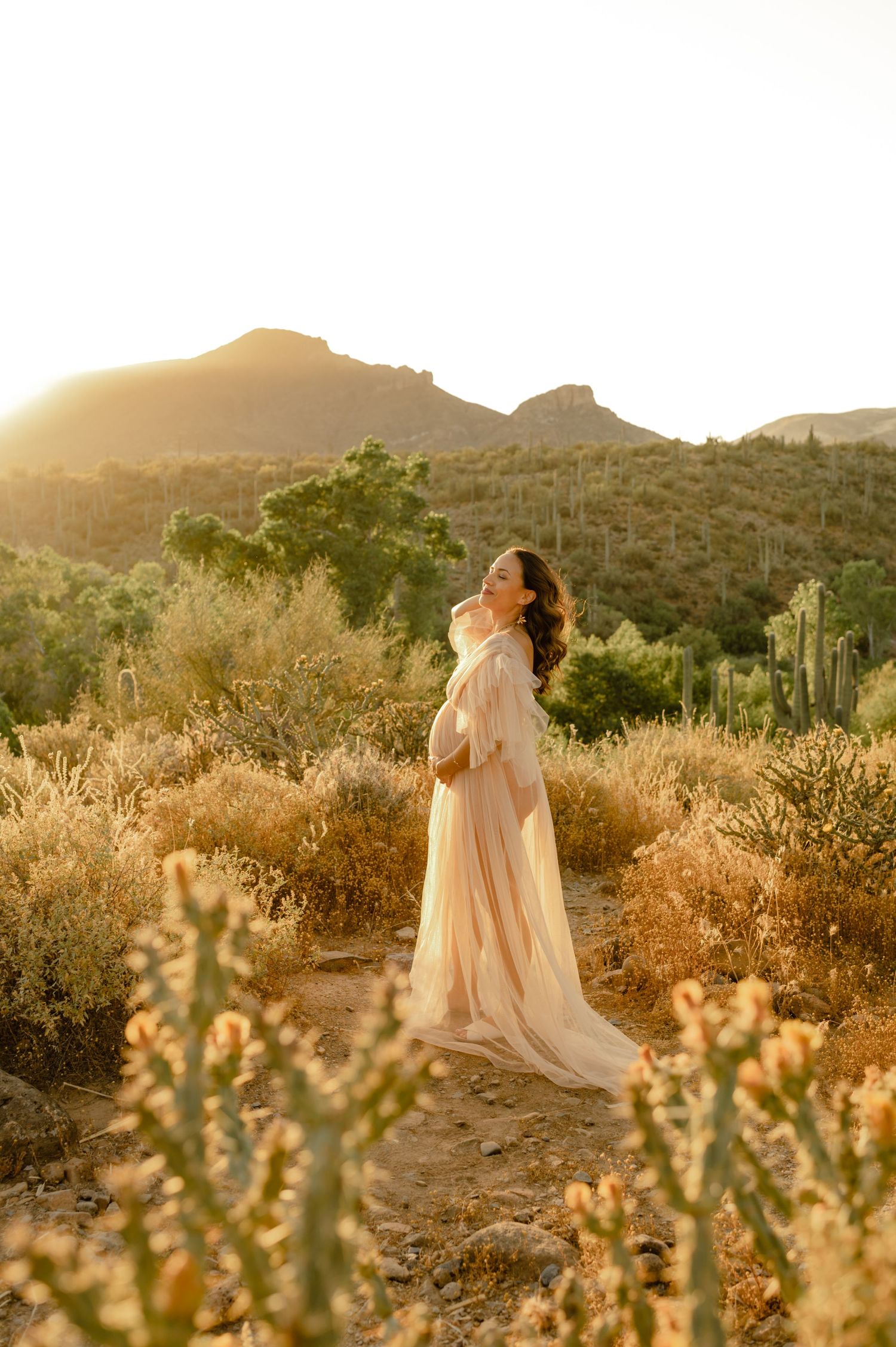maternity session in cave creek arizona during golden hour with desert scenery behind the mother