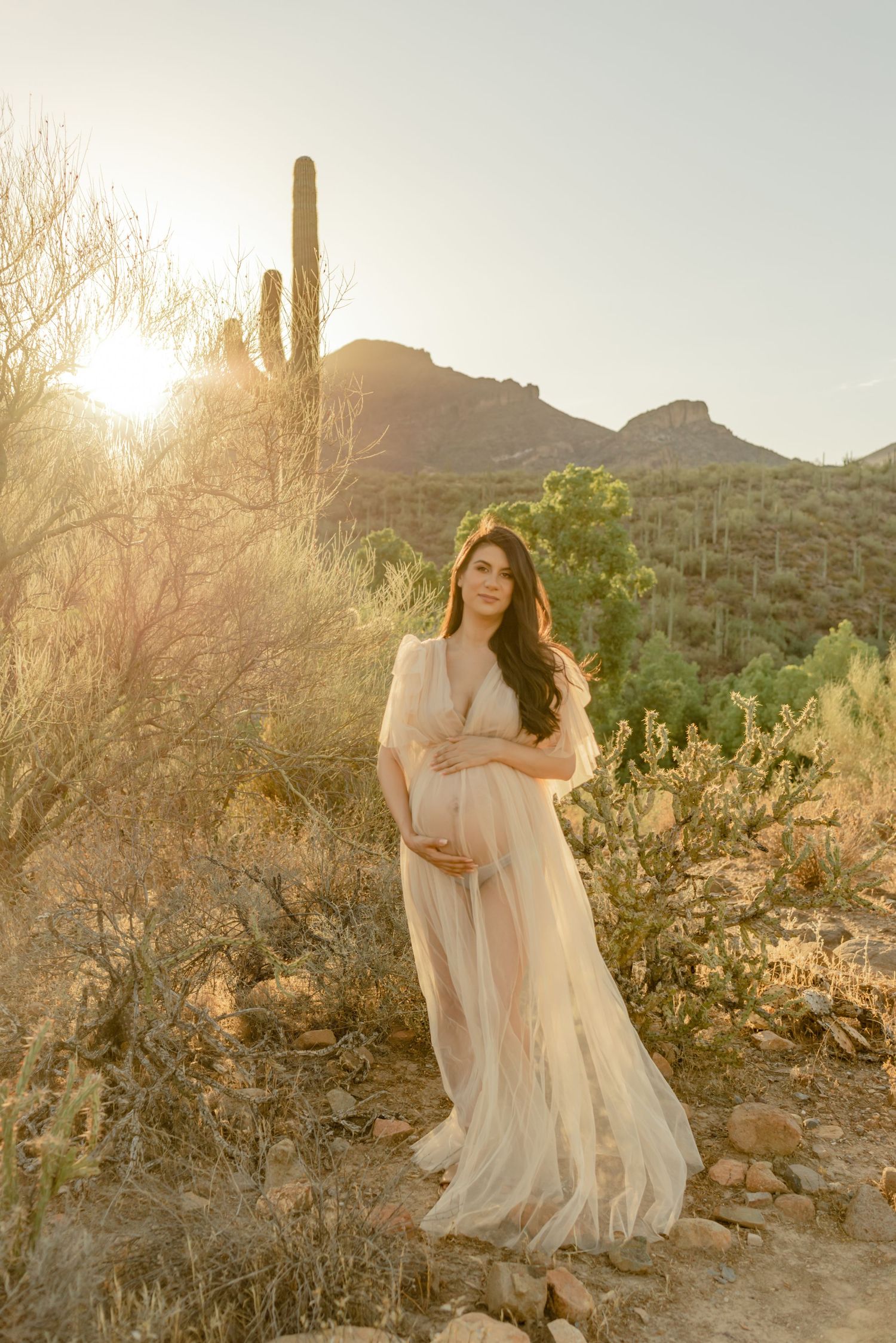 Elegant pregnant woman in tulle gown cradling baby bump in Sonoran desert at sunset.