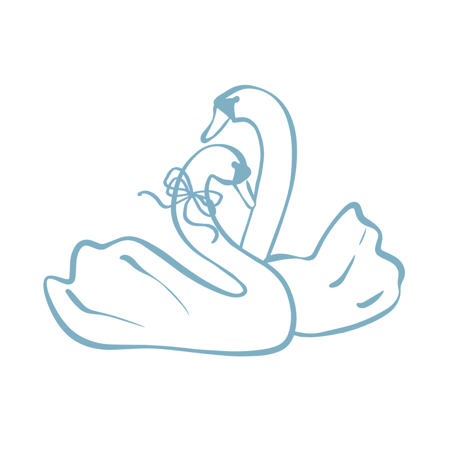 Elegant blue line art illustration of two swans forming a heart shape with floral accent.