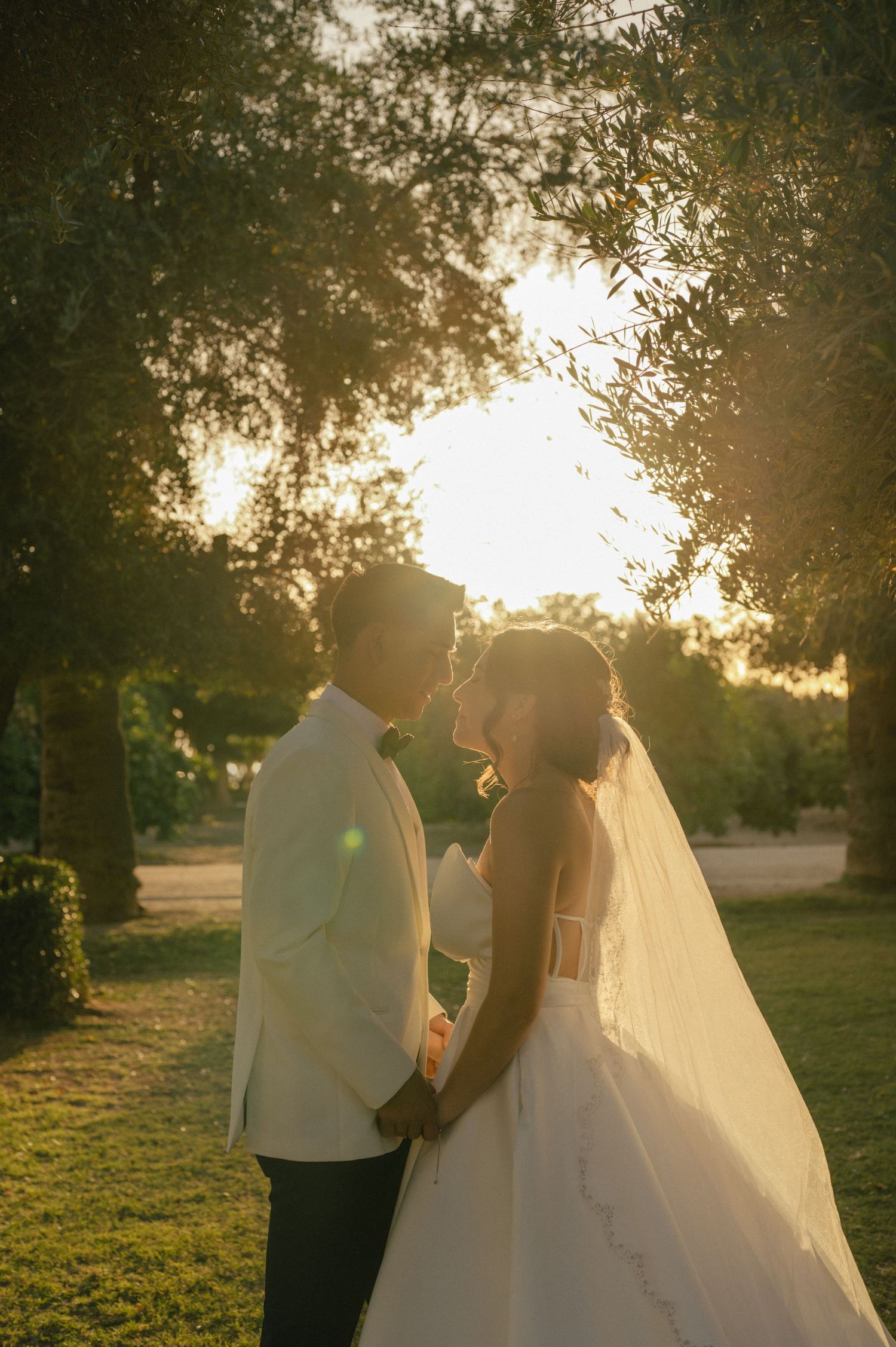 Bride and groom kiss at sunset under trees, soft golden light surrounding them.