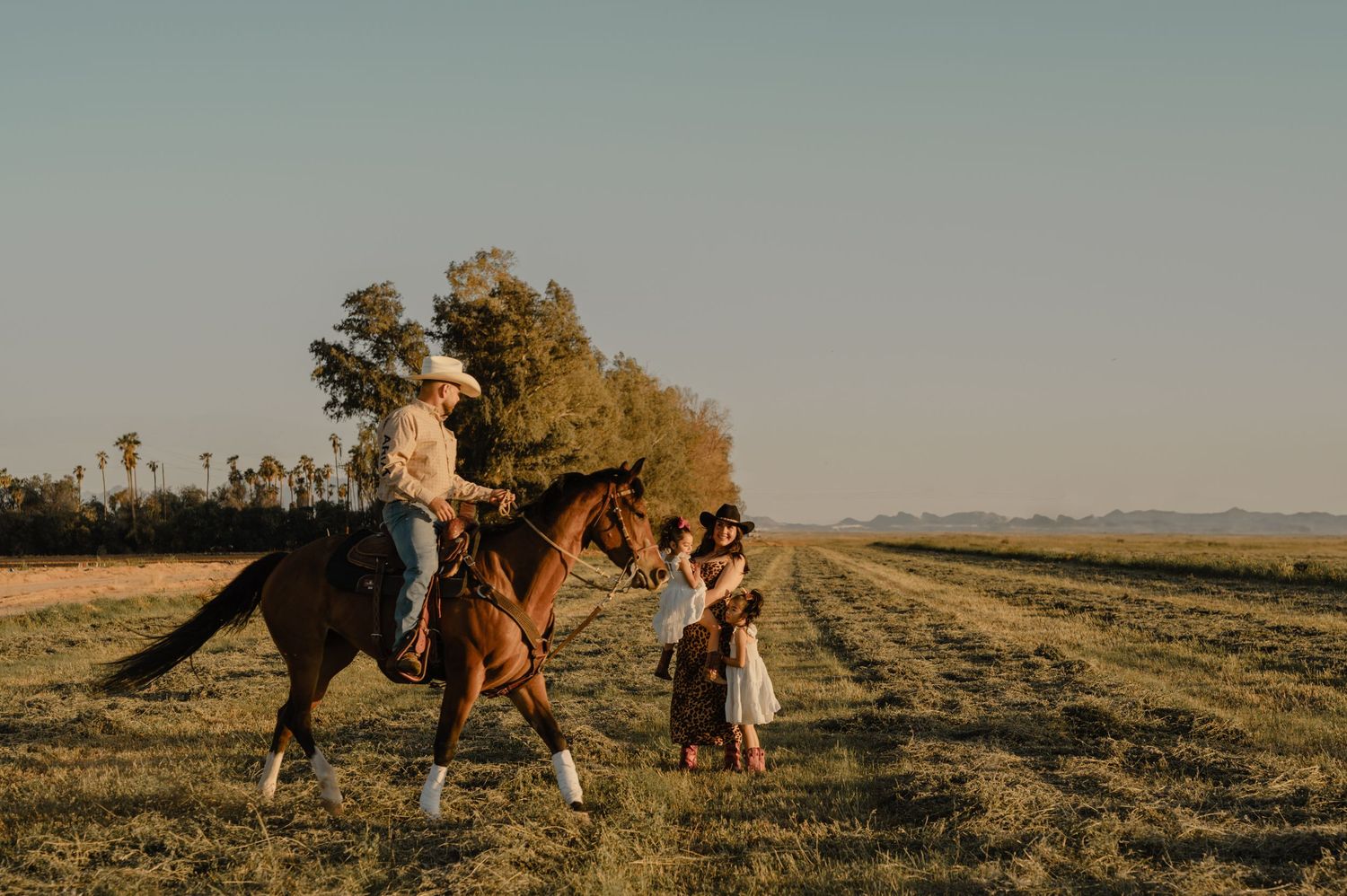 person on a brown horse rides through a golden field while another walks alongside, phoenix family session in a sunny rural setting