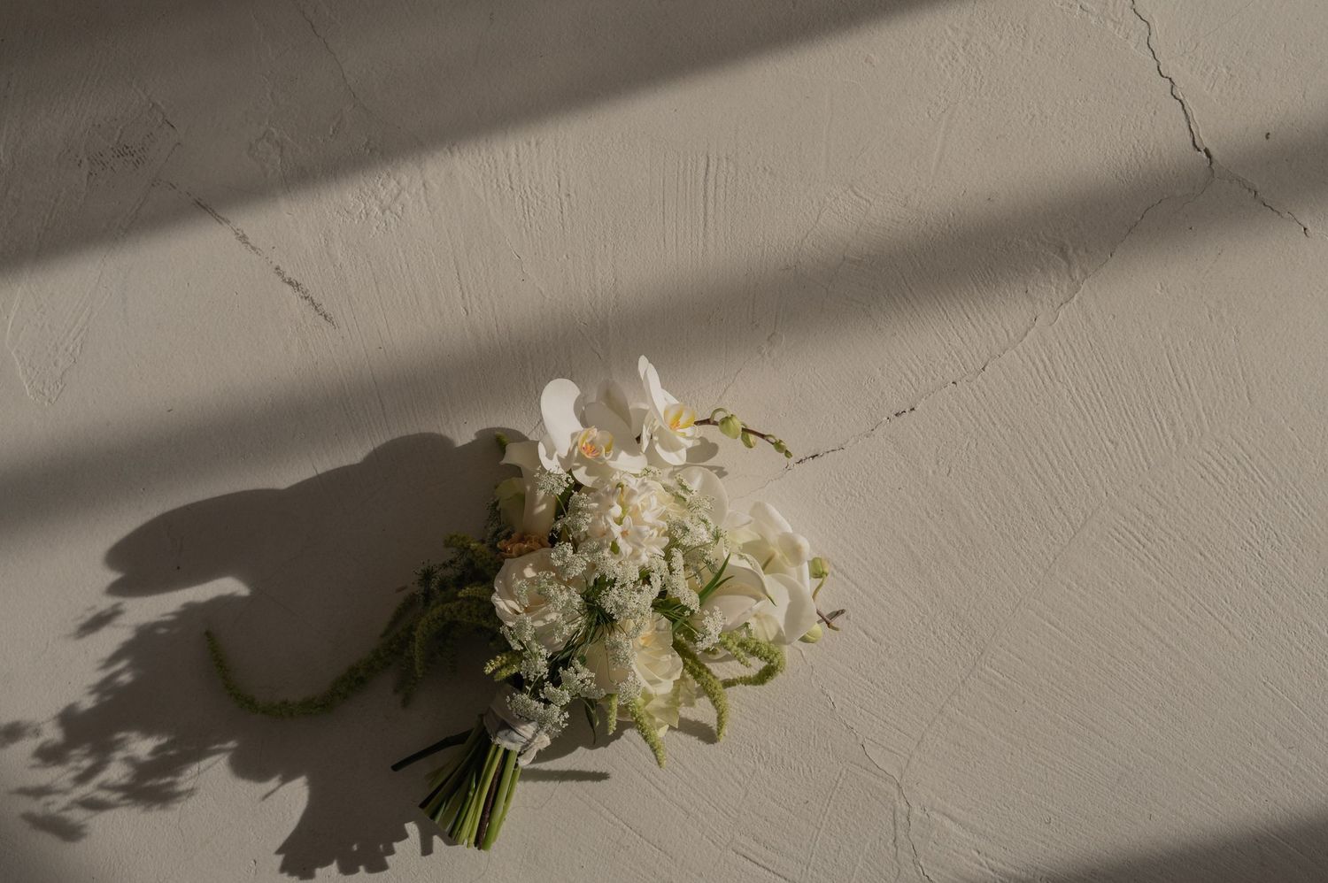 Flat lay of a floral bouquet casting shadows on a textured surface — soft editorial product styling.