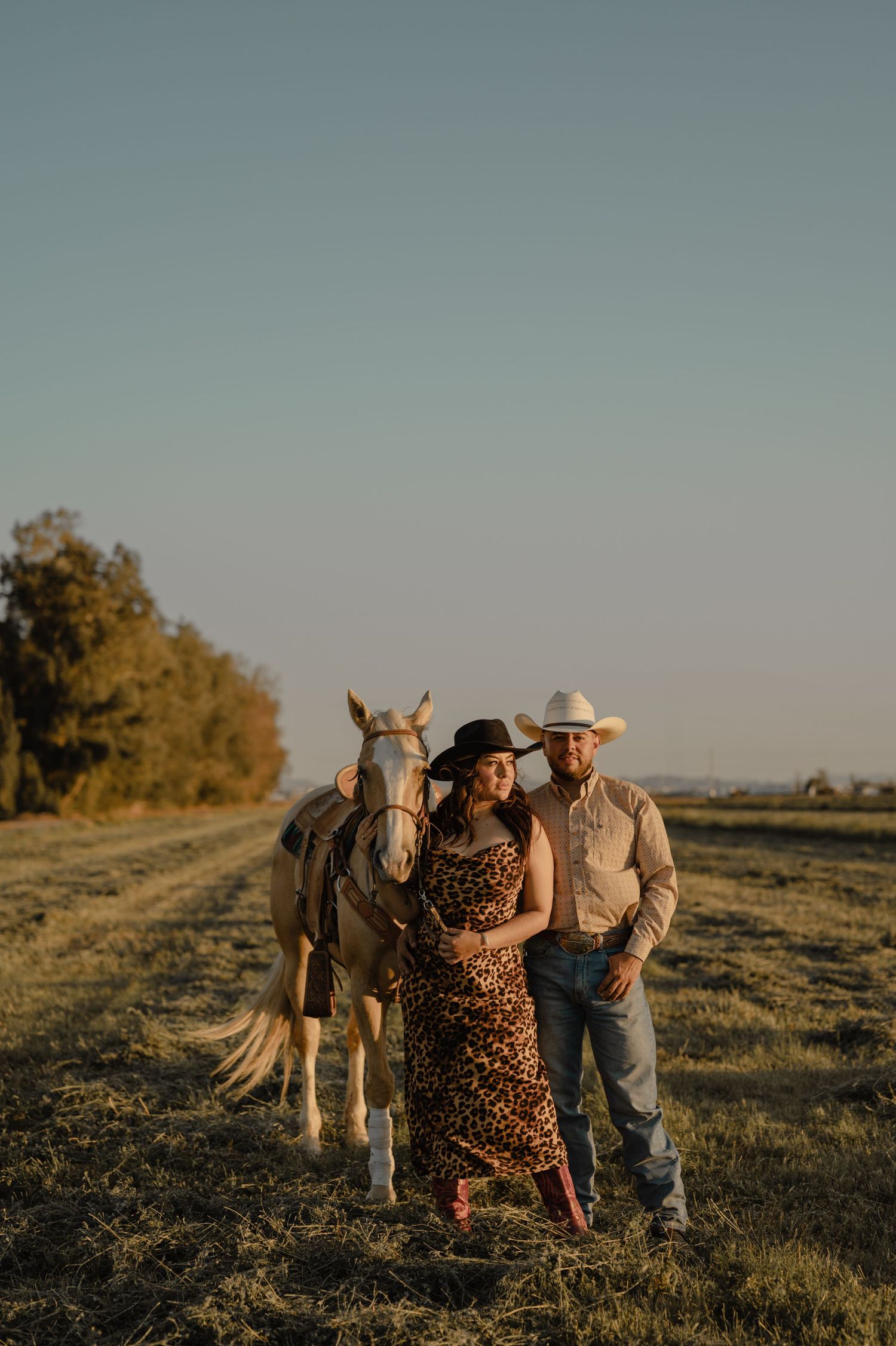 Liz and her husband stand with a palomino horse in a golden sunset field during their family session.