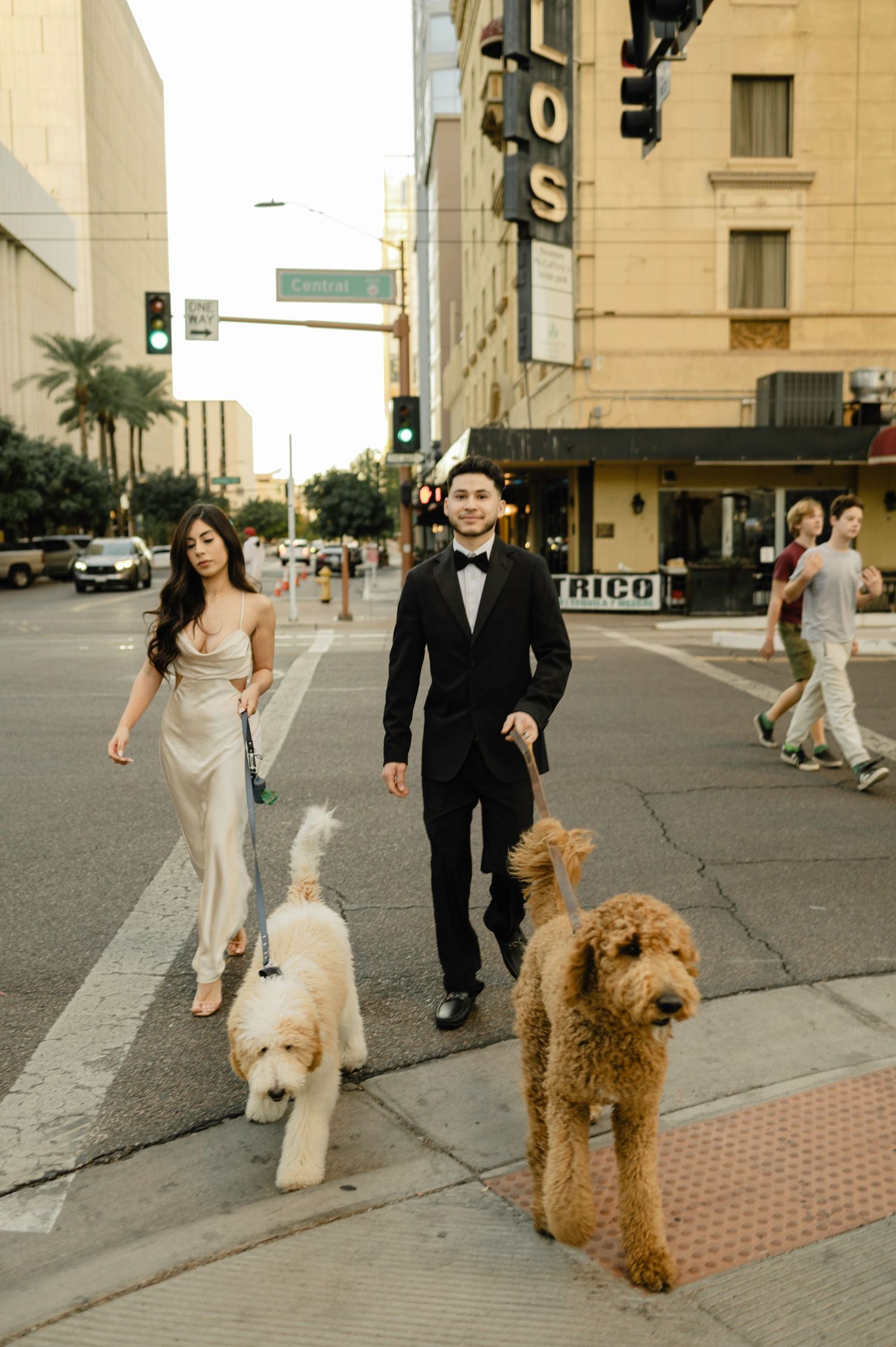 Elegant couple in formal attire walking two goldendoodles across a city crosswalk near a historic theater.