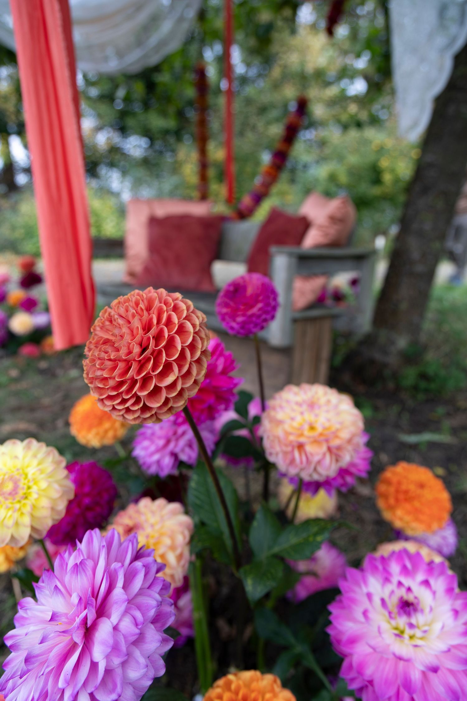 Expositie Verbonden in afscheid
Uitvaartfotograaf natuurbegrafenis
Kunstzinnige, traditionele en duurzame afscheidsbloemen
Oogstpark