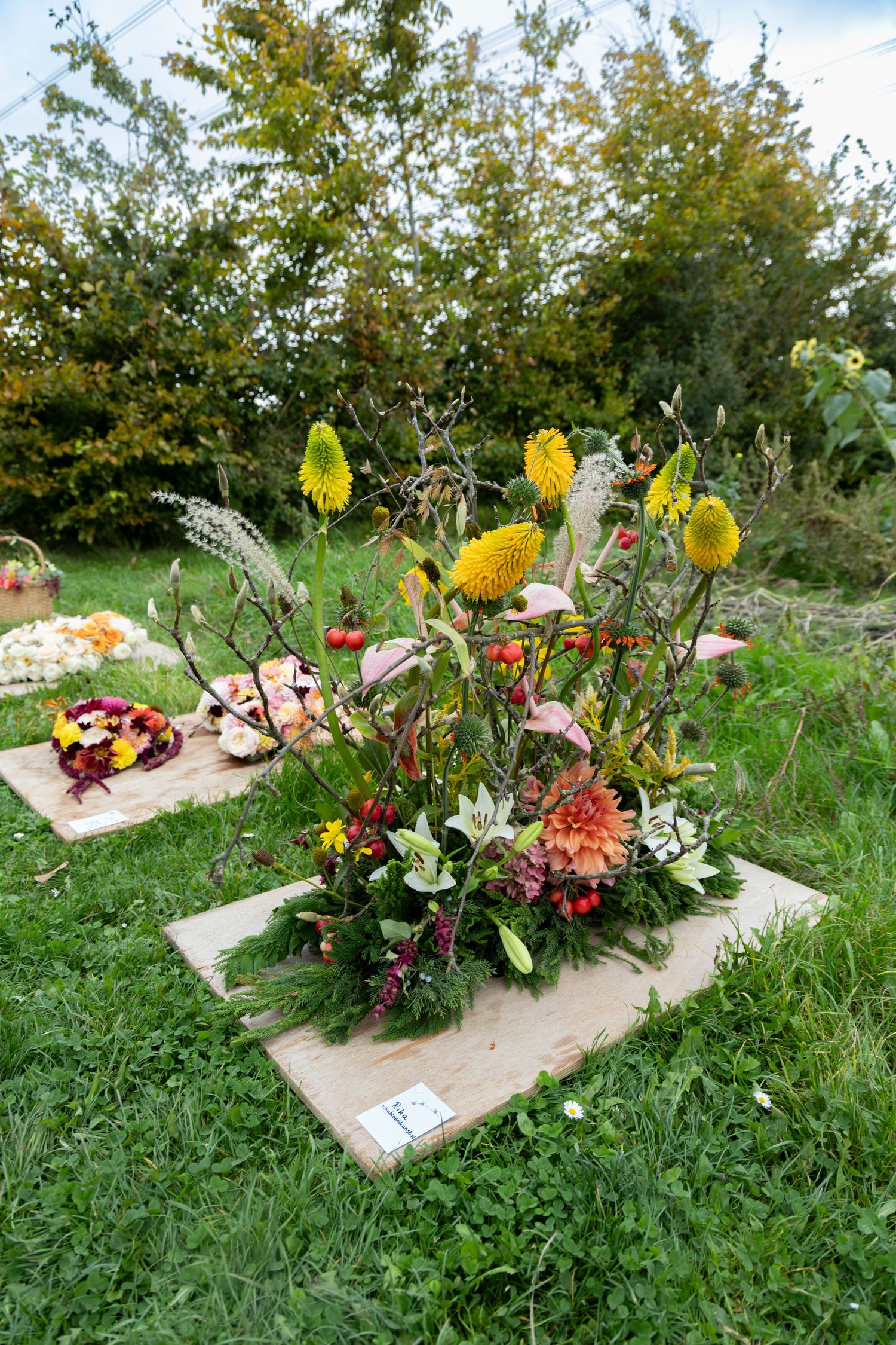Expositie Verbonden in afscheid
Uitvaartfotograaf natuurbegrafenis
Kunstzinnige, traditionele en duurzame afscheidsbloemen
Oogstpark
