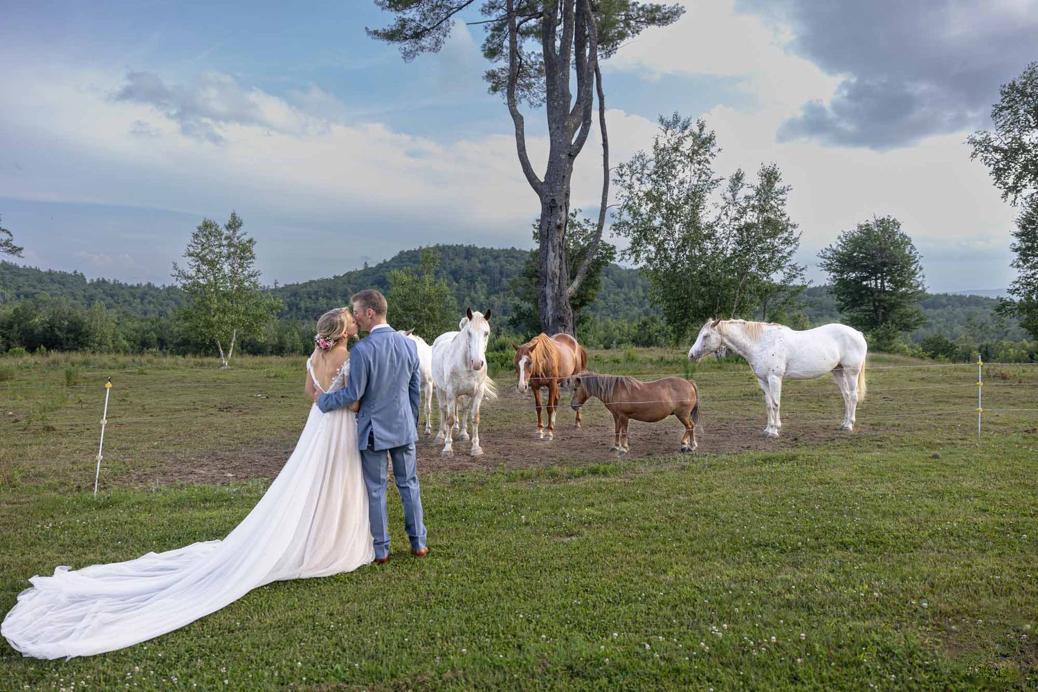 A bride and groom stand together viewing horses on a lush green farm landscape with rolling hills in the background. Cold Spring Farm Alton