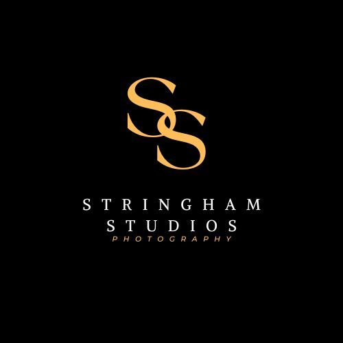 A series of elegant black and gold photography studio logos featuring the name Stringham Studios with an S monogram.
