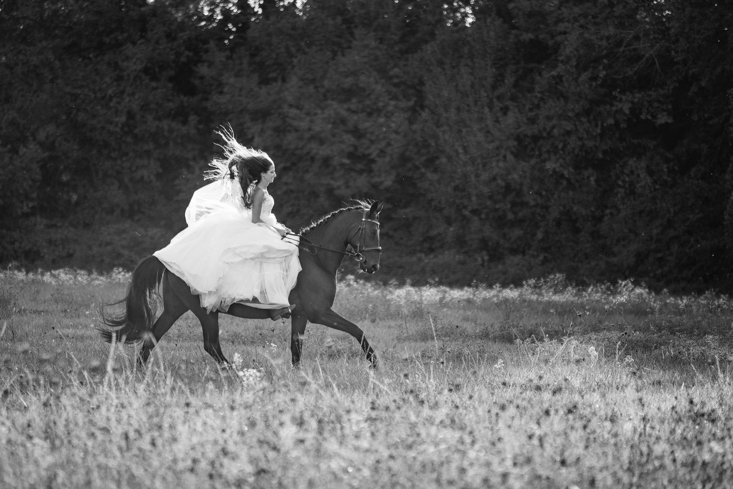Trot de dressage en robe de mariée. Élégance et maîtrise technique, photographe de mariage de luxe dans les domaines du Beaujolais.