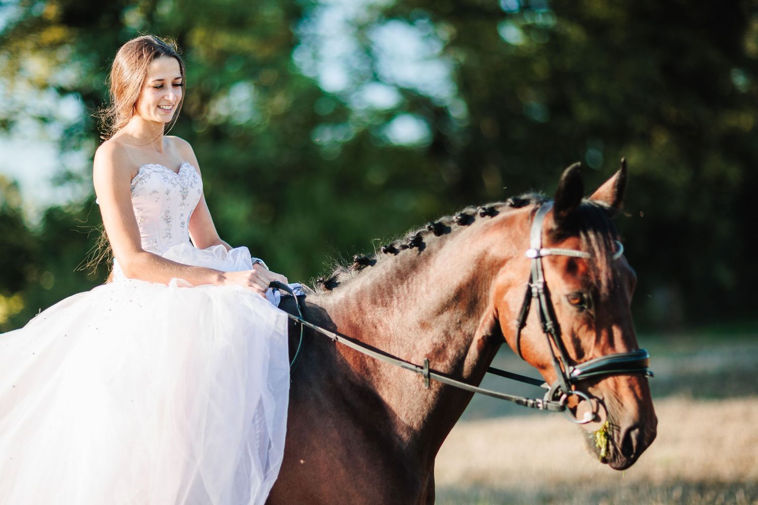 Portrait lumineux d'une mariée cavalière en arrière-plan des prestations de mariage d'Eric Filliat.