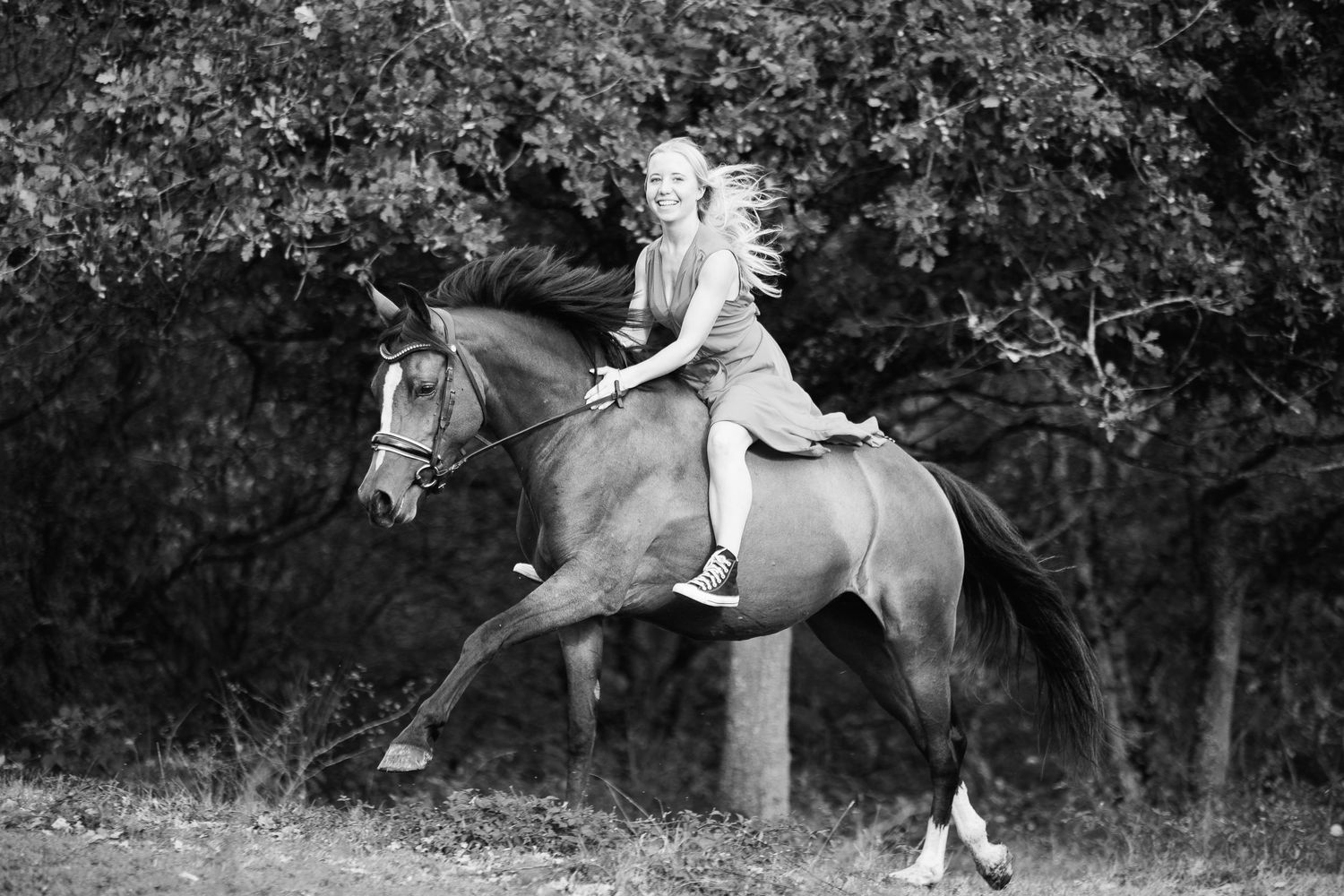 Galop effrêné et libre d'une cavalière passionnée. Séance photo animal et famille en Val d'Allier, secteur Moulins.