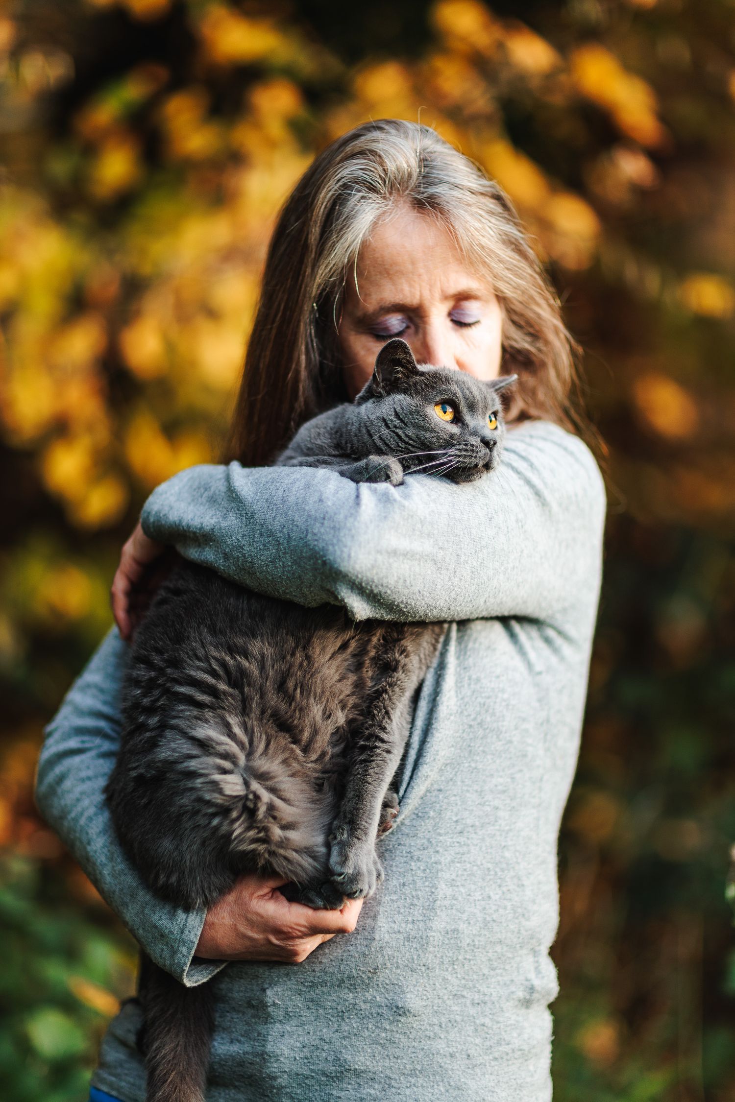 Moment de tendresse entre un chat Chartreux et sa propriétaire. Séance photo complicité, secteur Montluçon et environs.