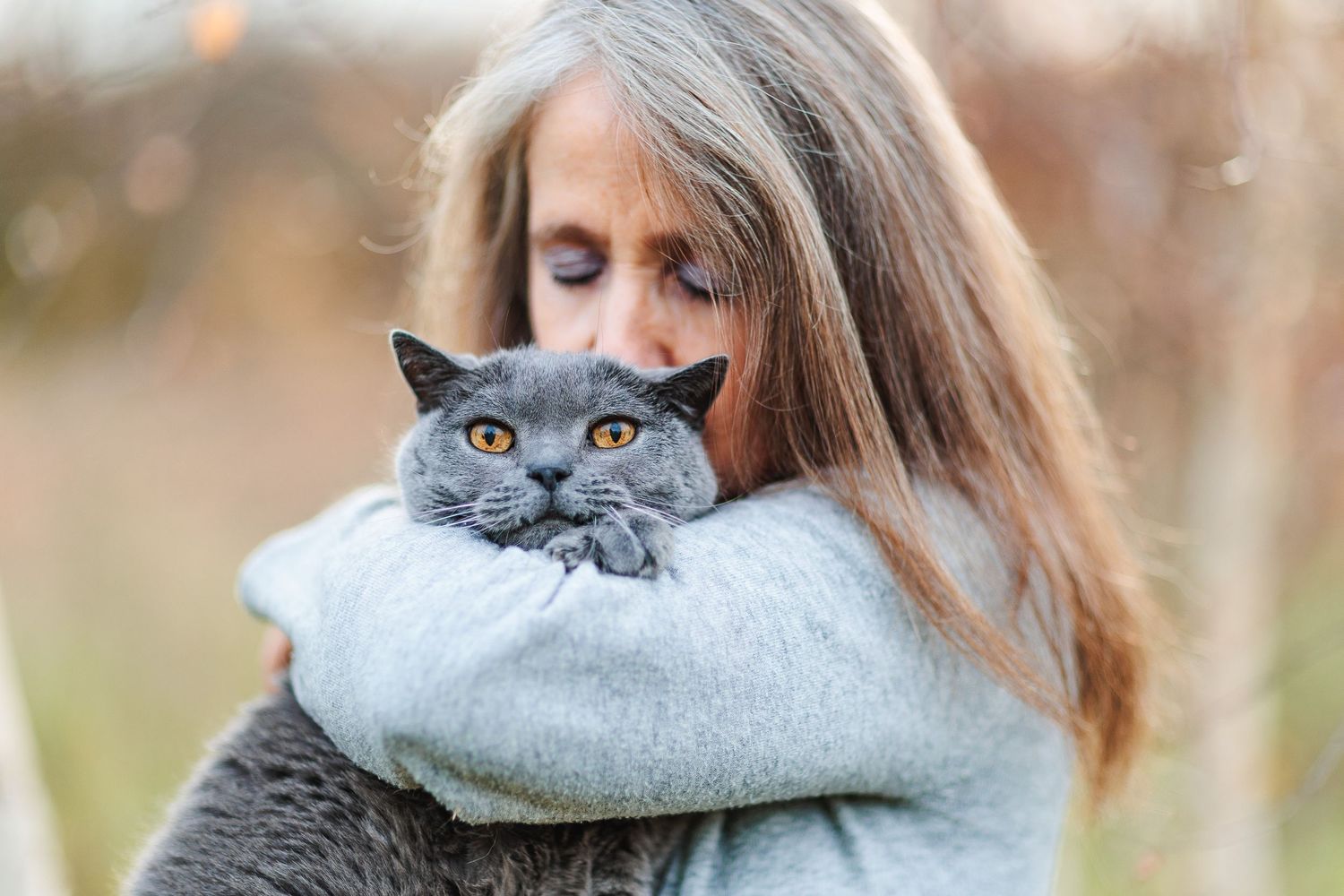 Un chat-Chartreux partage un instant de tendresse profonde avec son humain de compagnie, par Eric Filliat, photographe lifestyle - Auvergne.