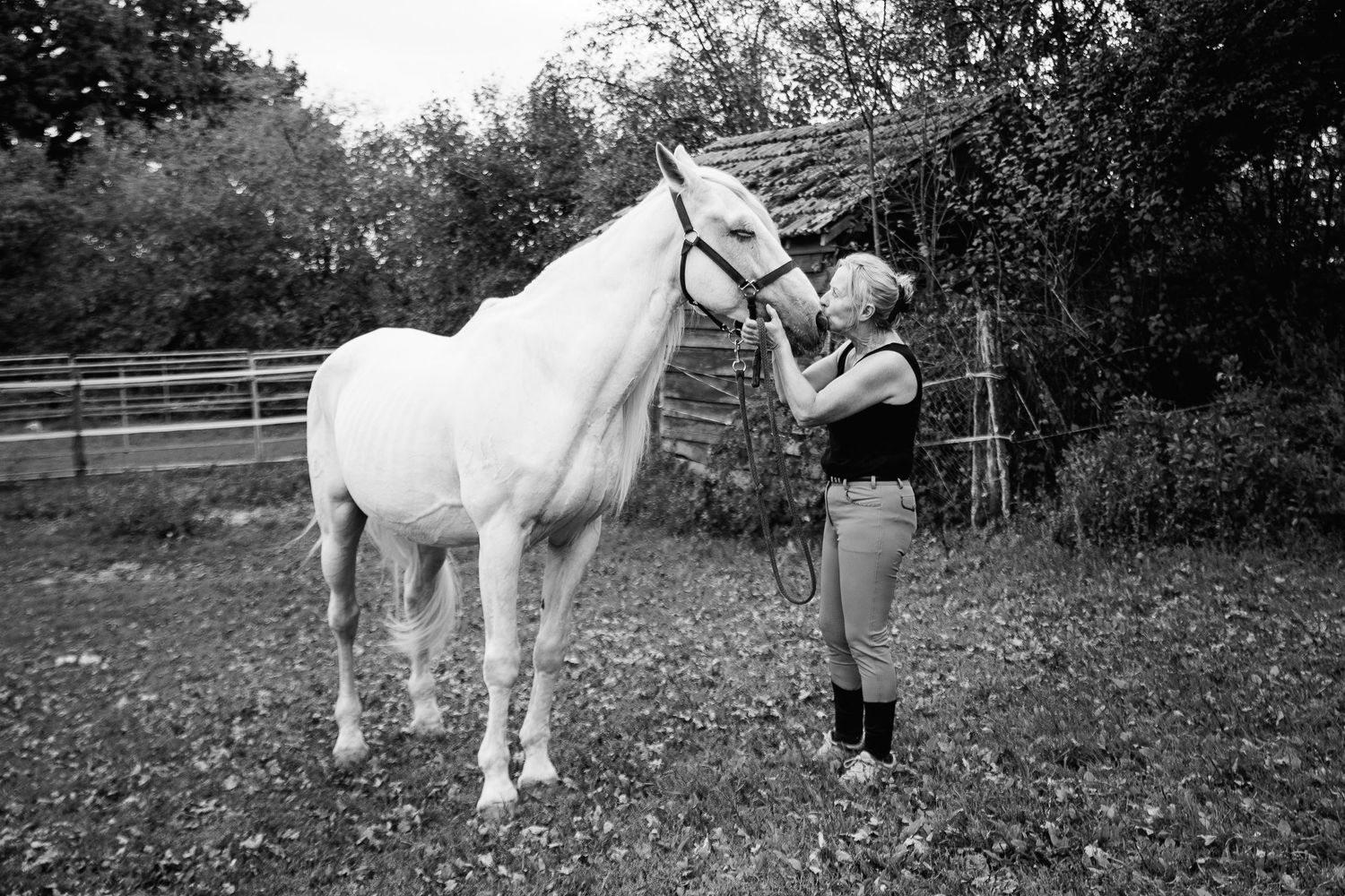 Portrait artistique noir et blanc d'une femme embrassant son étalon sur le museau, le cheval fermant les yeux d'apaisement. Séance Symbiose