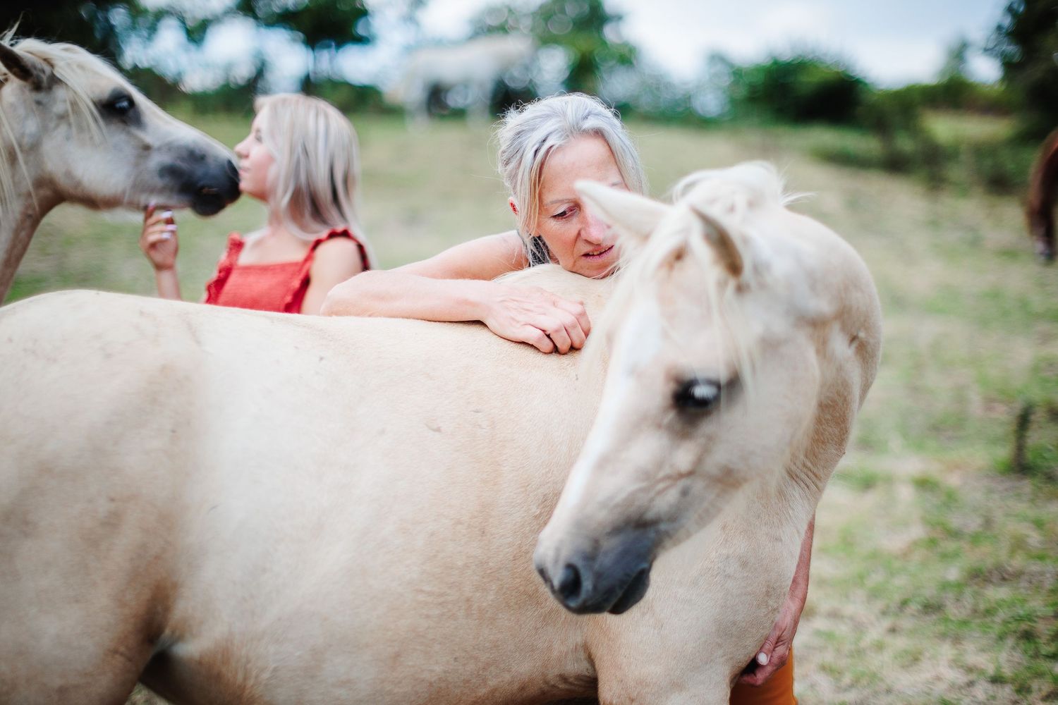 Animaux et leur Tribu familiale, shooting lifestyle d'exception en Auvergne. Photographe de votre patrimoine et héritage par l'image.