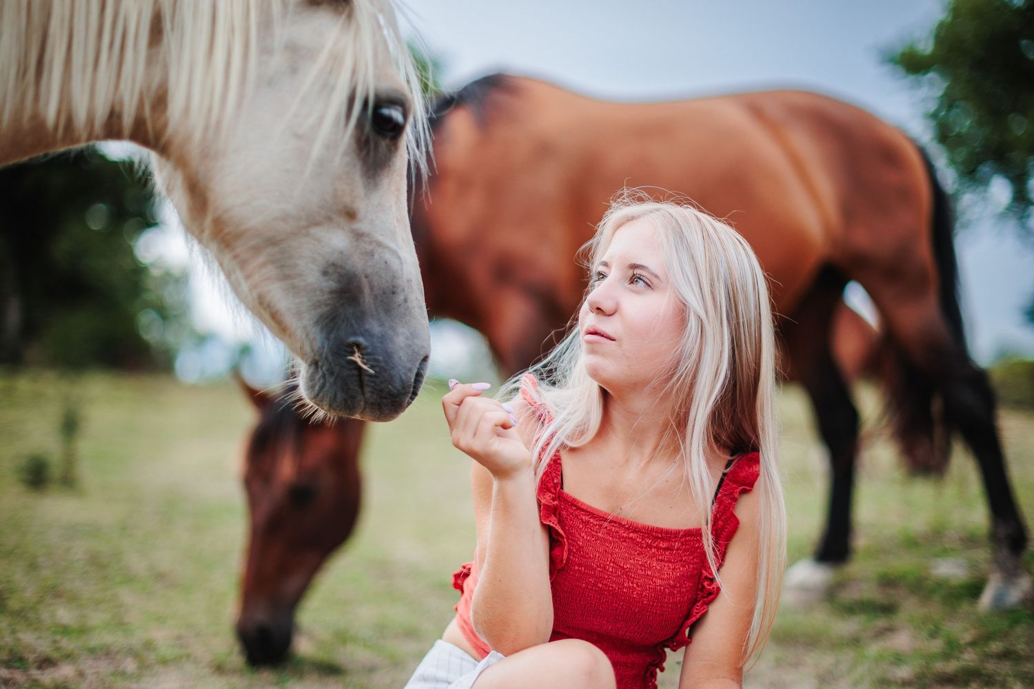 Adolescente accroupie avec tendresse face à son poney au pré, entourée de ses chevaux pour une séance photo axée sur la connexion animale.
