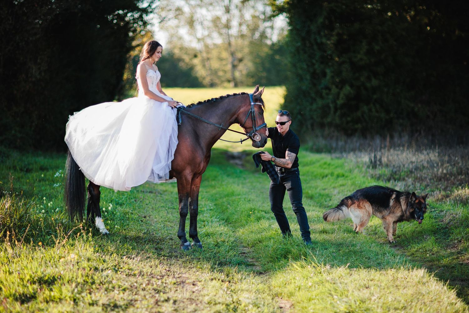 Union d'une tribu : mariés, cheval et Berger Allemand dans un champ. Gestes d'entraide et présence animale, séance d'exception en Auvergne.