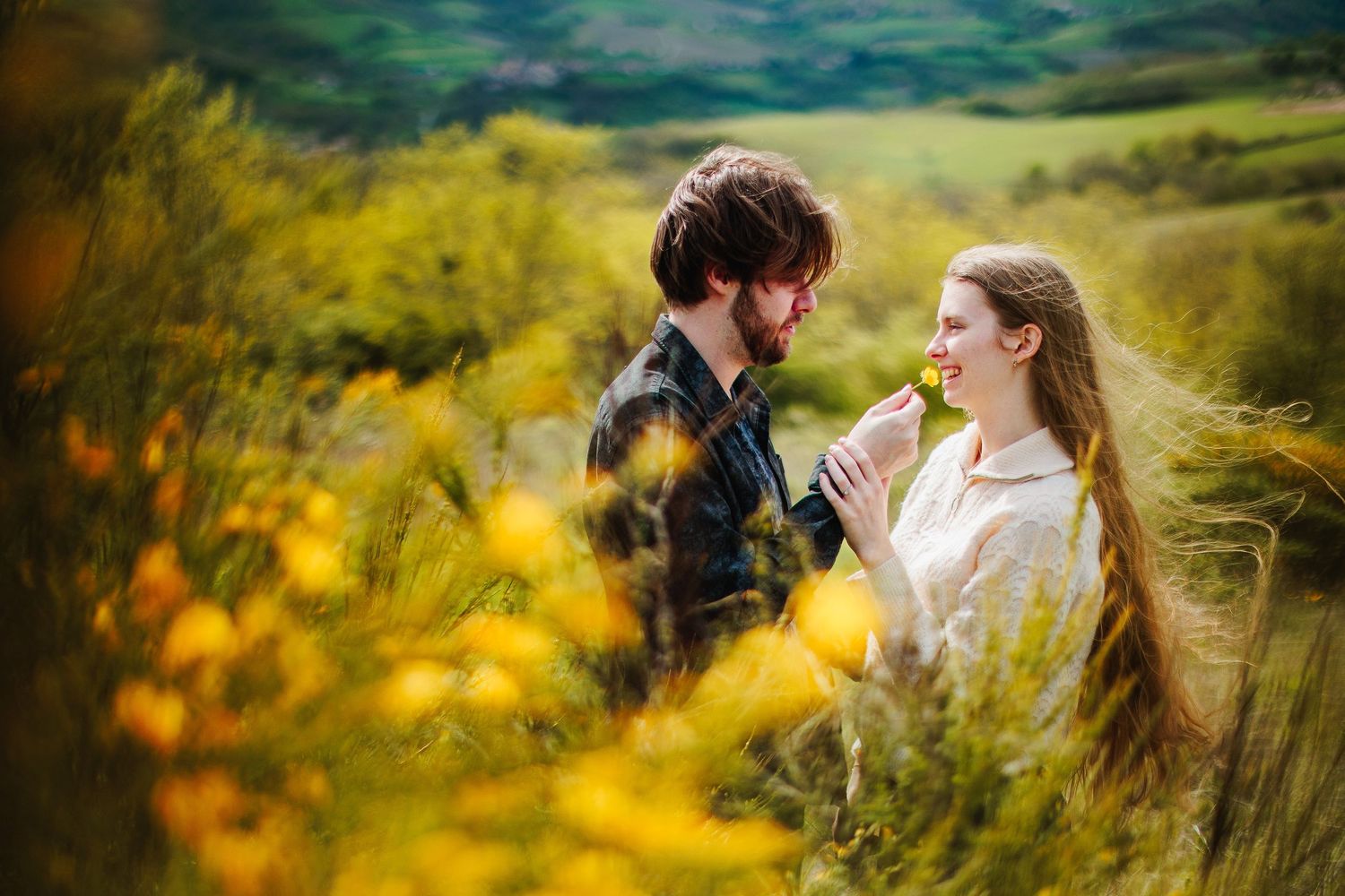 Moment complice et joueur d'un couple dans un champ de genêts en fleurs, l'homme offrant une fleur à sa compagne dans un paysage bucolique.