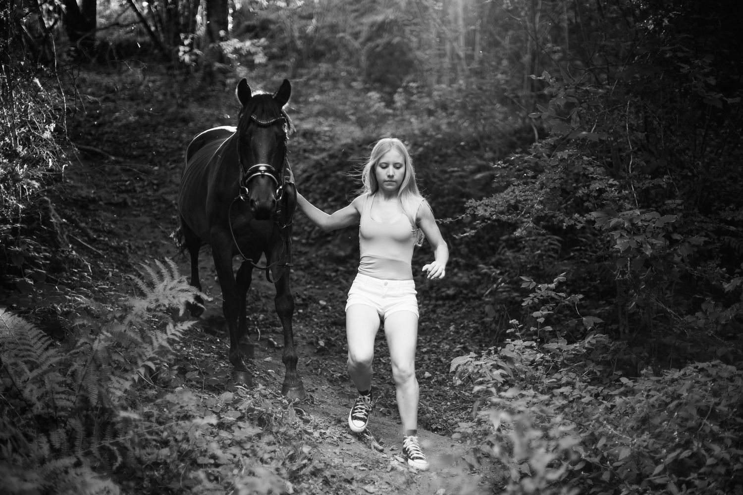 Randonnée, forêt et liberté à cheval, saisie par Eric Filliat photographe animalier à Moulins et dans le Bocage Bourbonnais. Allier (03).