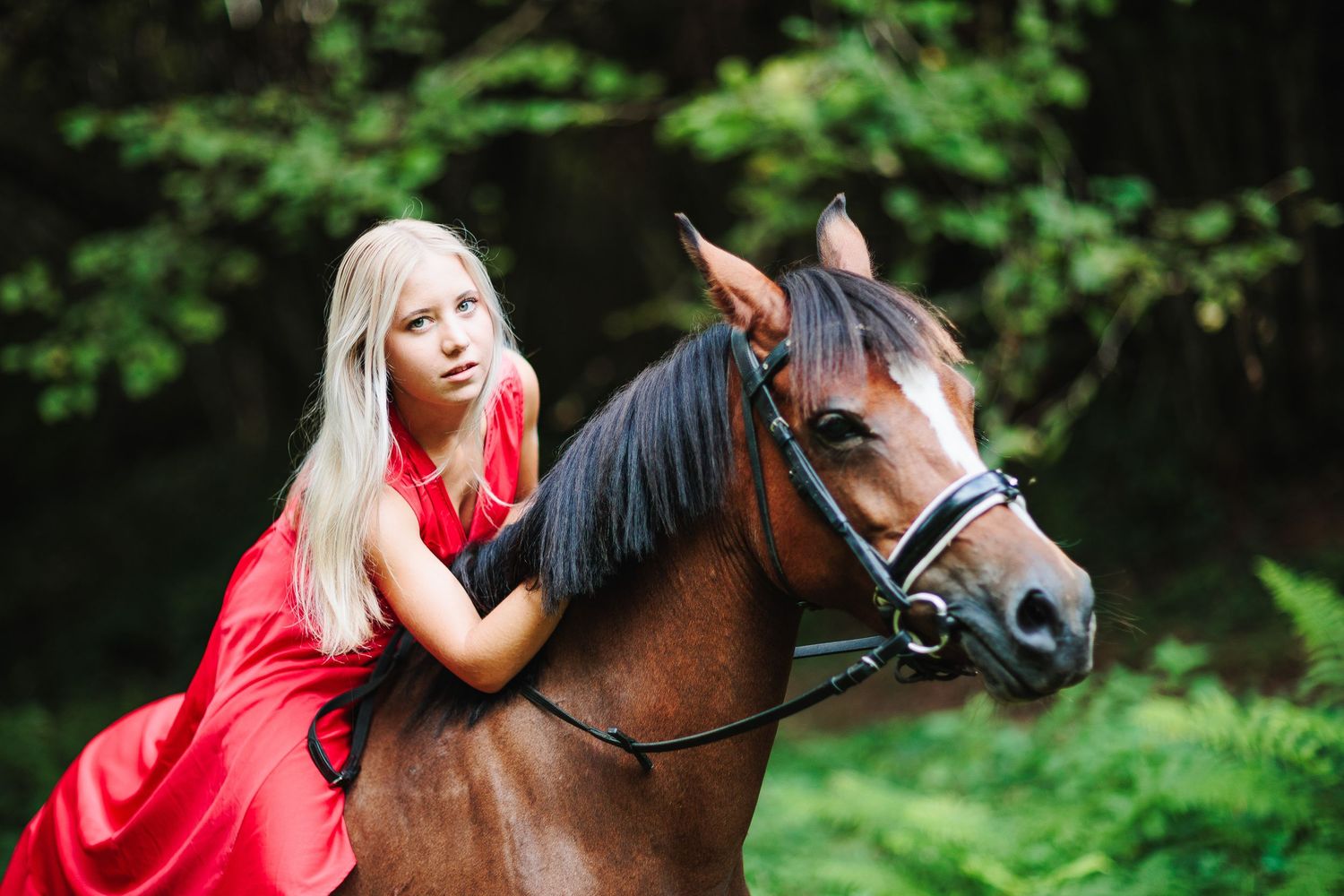 Cavalière penchée sur son cheval en forêt. Main sous la crinière, portrait complice en lumière naturelle, photographe Puy-de-Dôme et Allier.