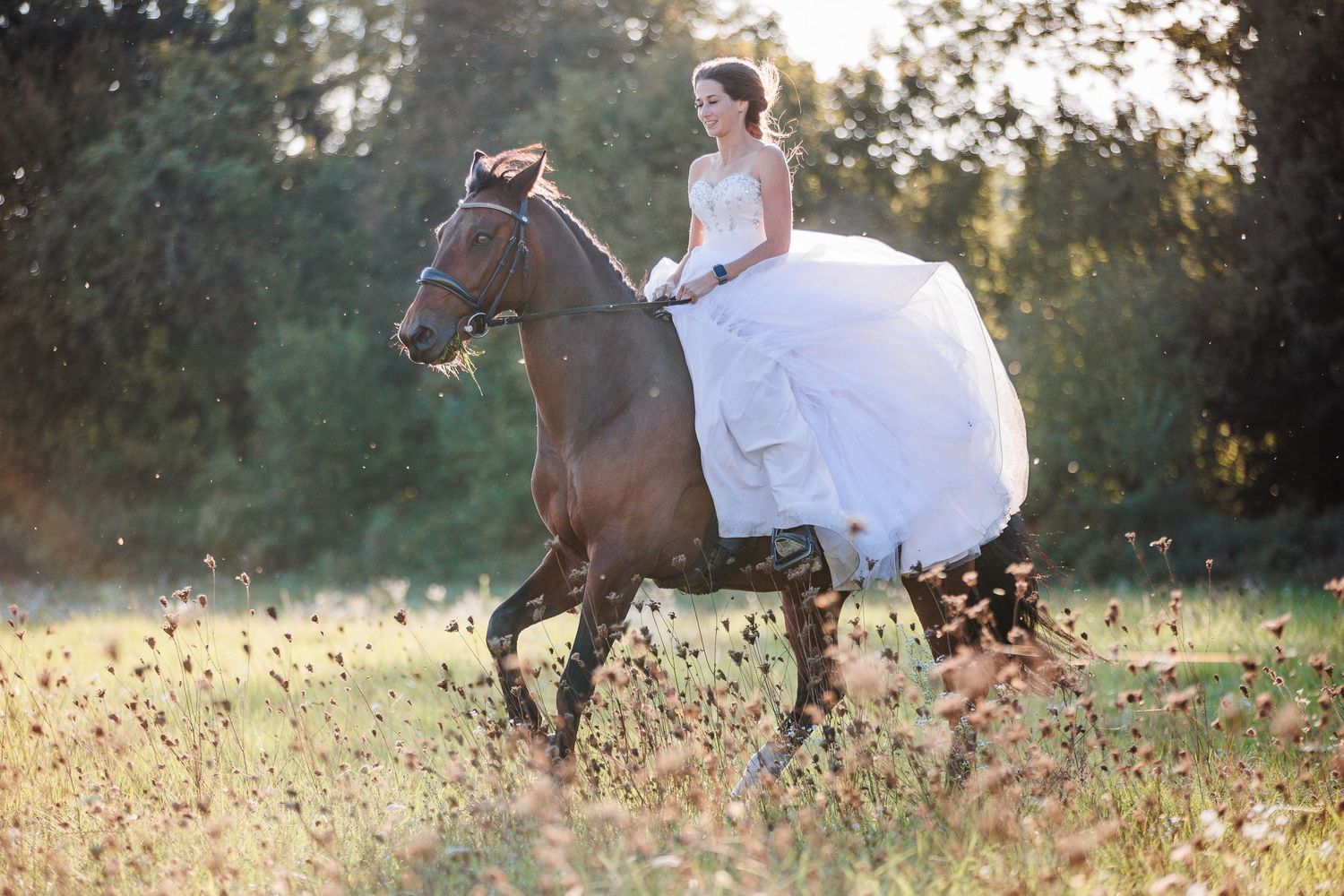 Mariée passionnée réalisant son rêve à cheval, dans la lumière de l'été, en Corrèze. Par Eric Filliat, photographe de mariage, couple & +