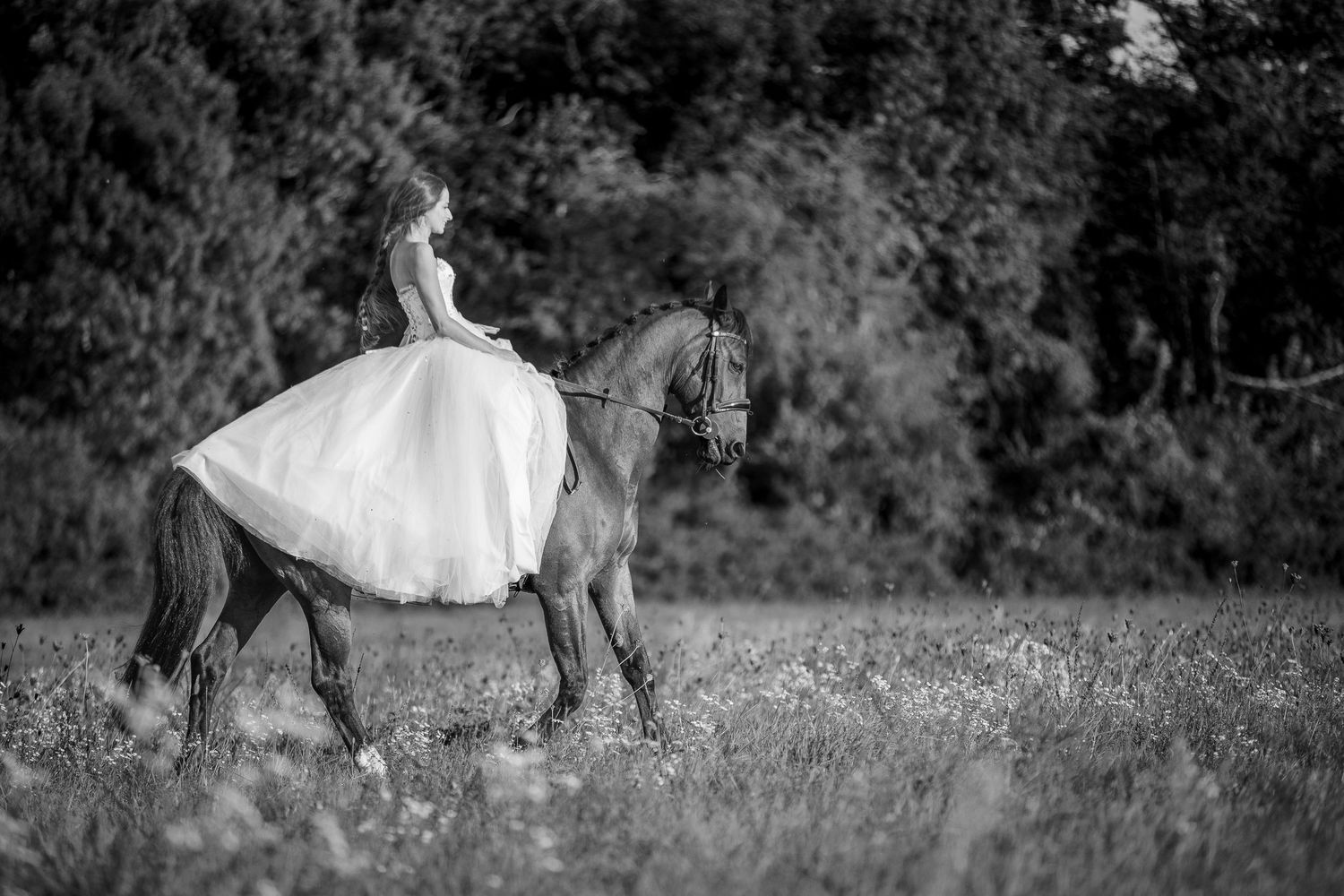 Mouvement et élégance d'une mariée à cheval. Une signature visuelle intemporelle pour votre patrimoine familial en Bourbonnais et Allier.