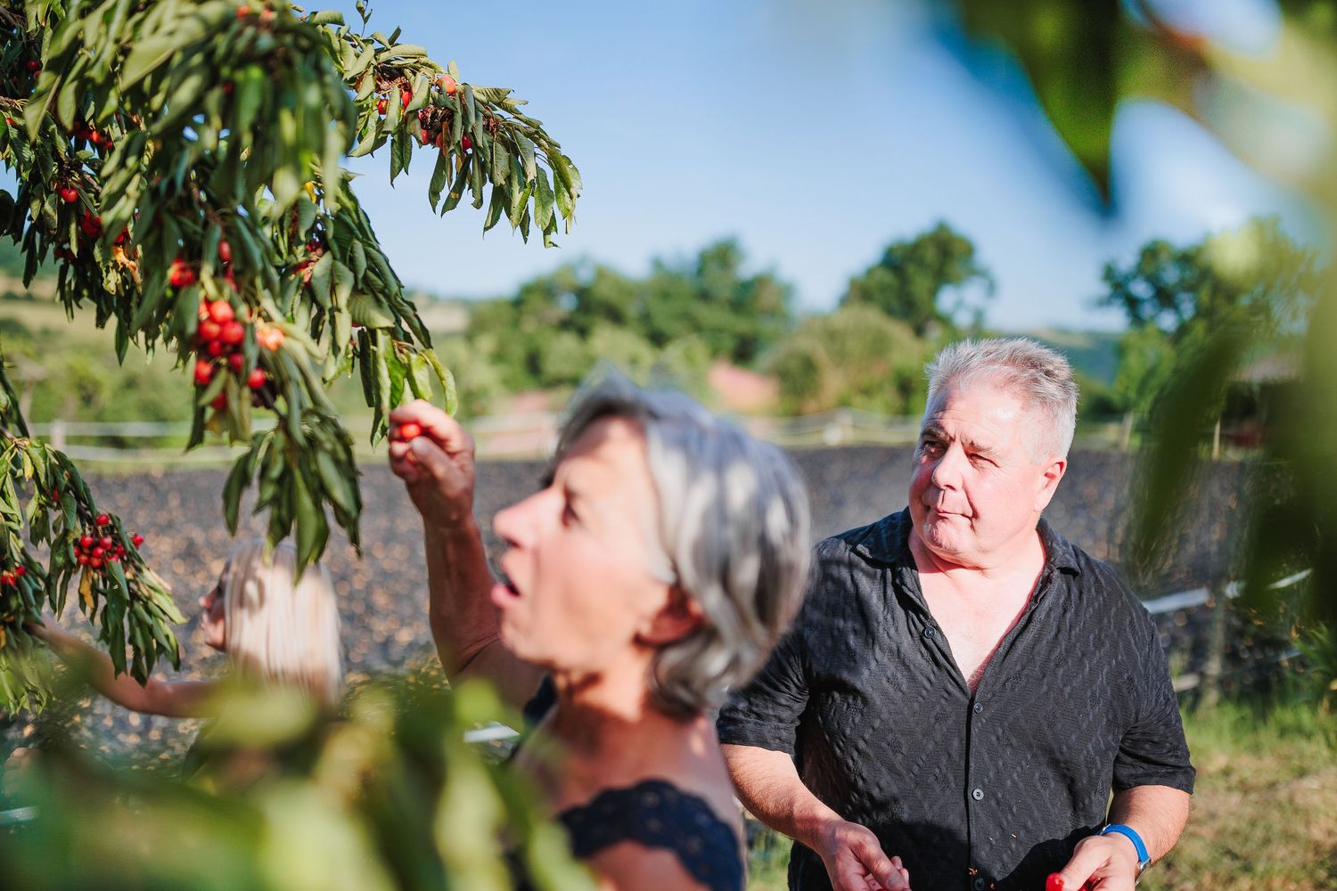 Instant photographique en famille, naturel et spontané, dans un style lifestyle au milieu des cerises. Secteur Vichy & Combrailles.