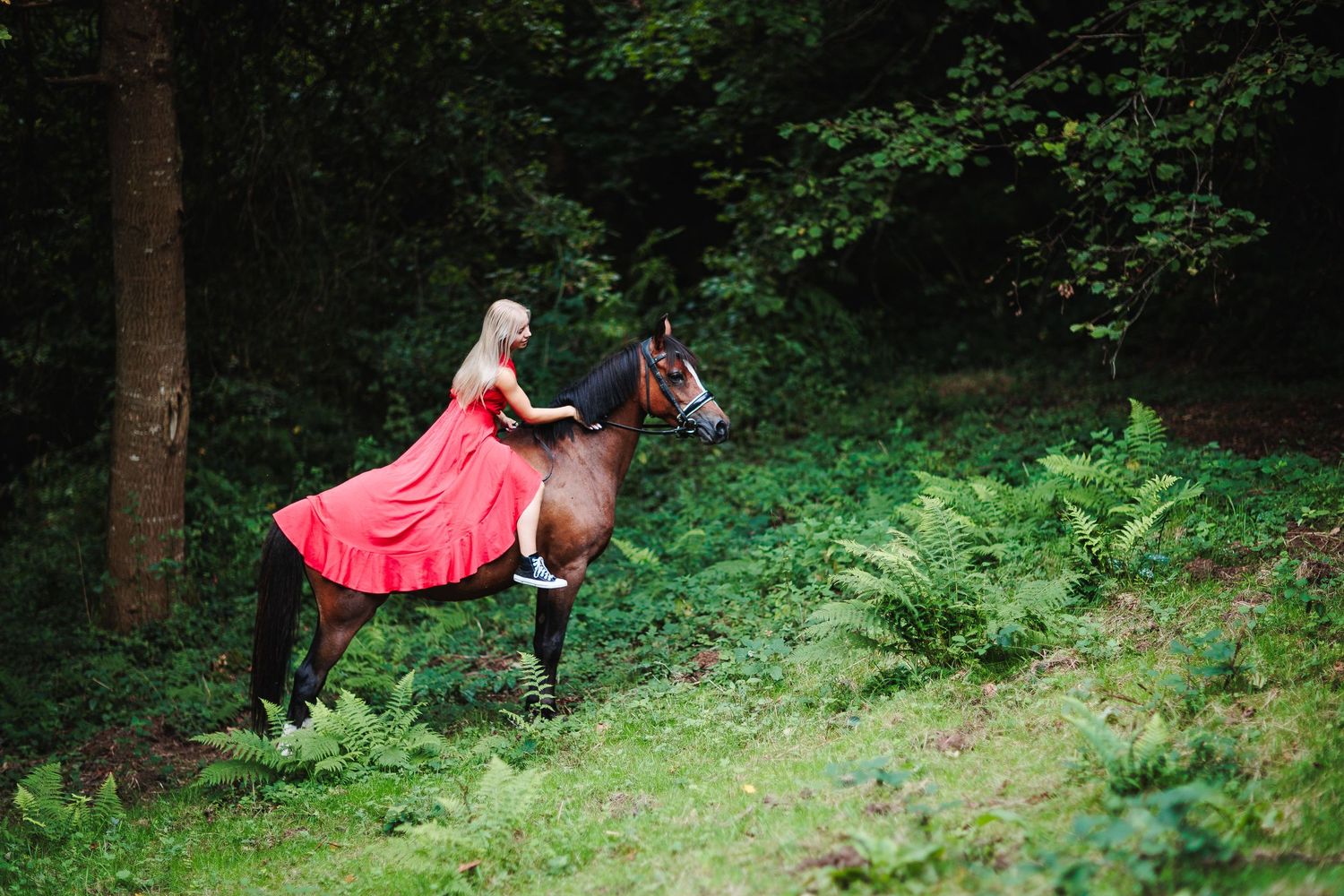Séance Tribu d'exception dans un domaine privé. Immortaliser votre héritage familial avec vos chevaux, photographe de prestige en Auvergne.