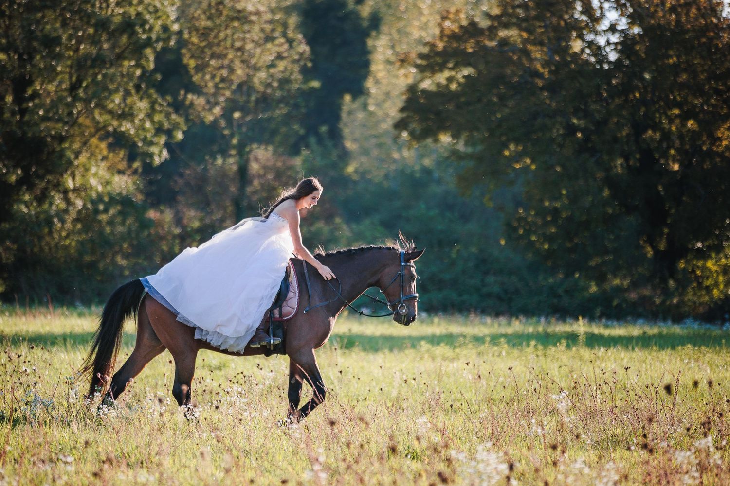 Symbiose entre une mariée et son cheval de sport. Photographie d'héritage et de prestige, secteur Haute-Loire et domaines de caractère.