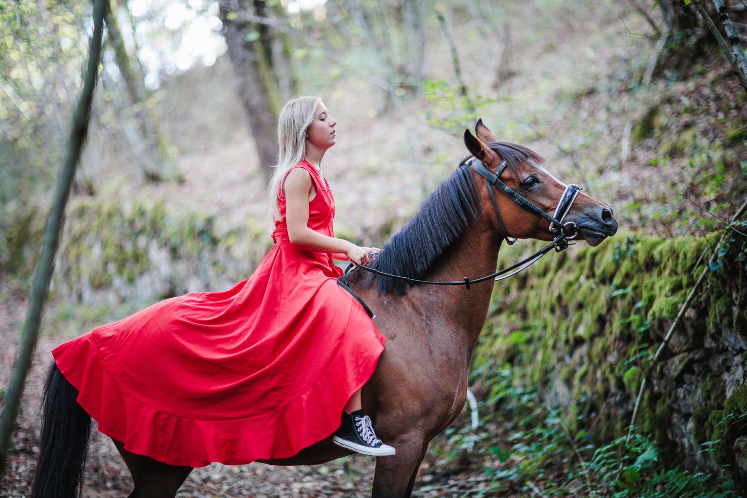 Élégance équestre au coeur de l'Allier. Portrait intemporel et complicité animale. photographe de mariage et de patrimoine familial.