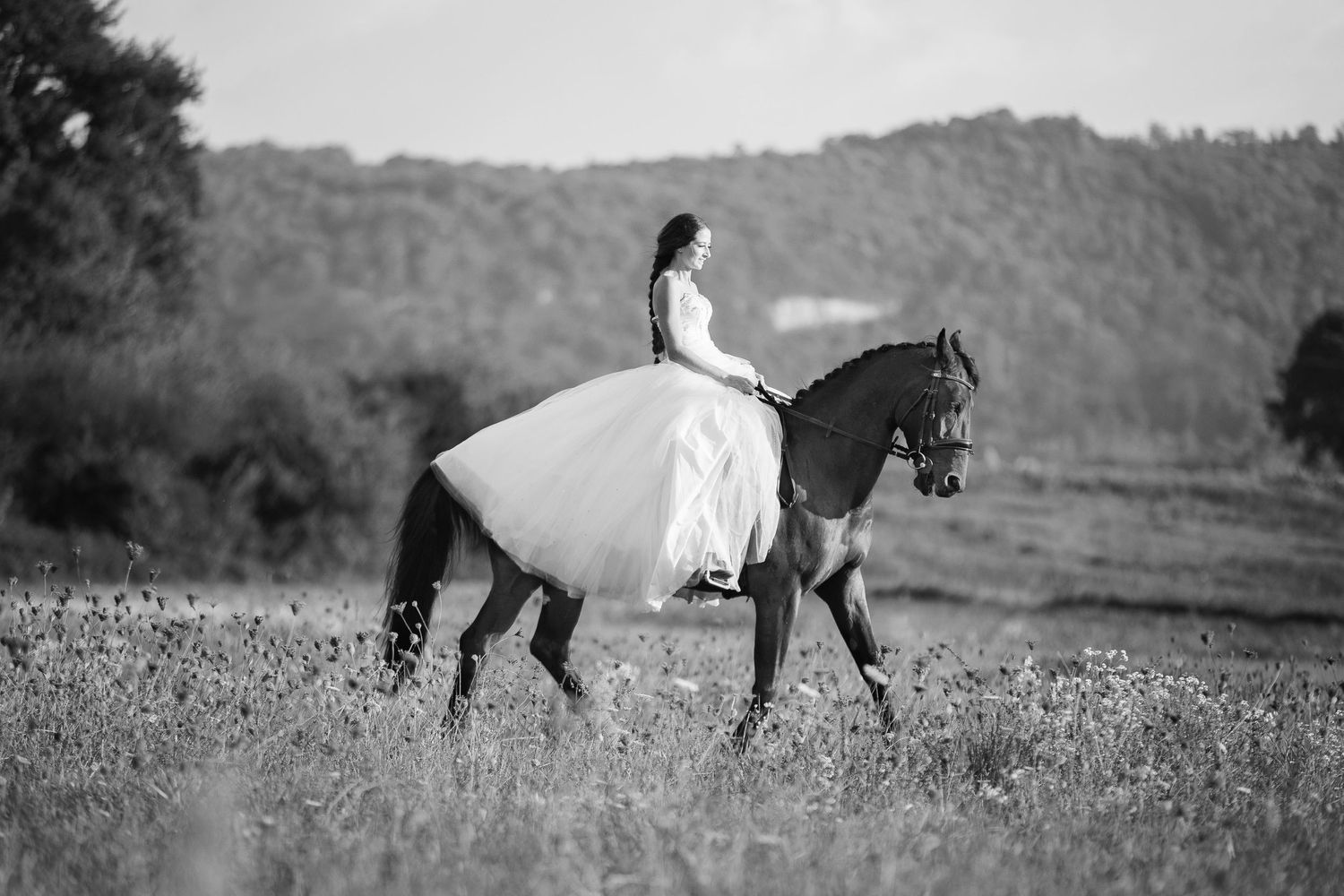 Dressage équin de haut niveau en tenue de cérémonie. Révéler la noblesse de l'animal, photographe d'exception secteur Loire et Pilat.