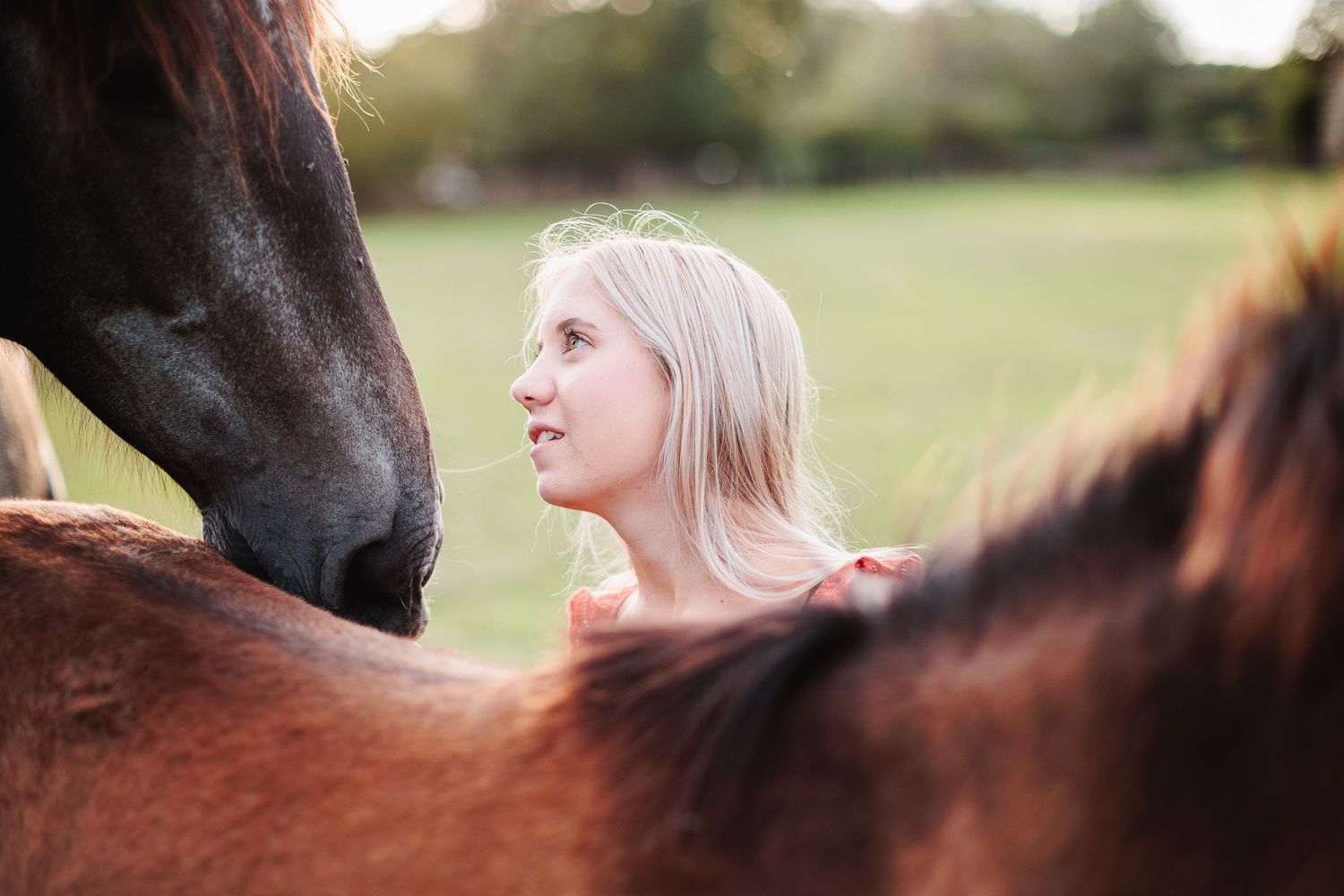 Connexion intense par le regard d'une jeune fille et son cheval, un soir d'été dans le Puy-de-Dôme, par Eric Filliat. Lifestyle et famille.