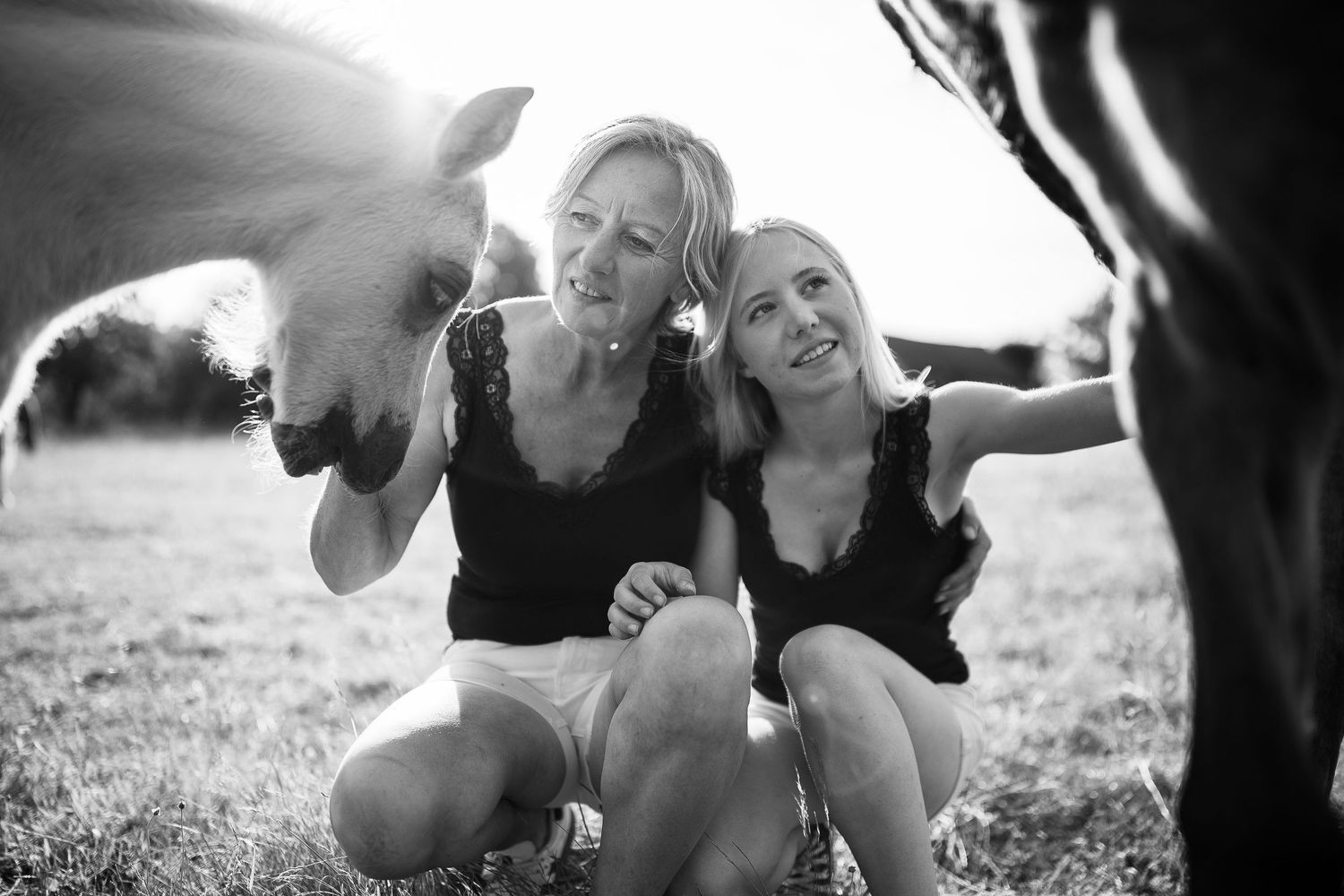 Famille et shooting lifestyle animalier d'exception en Auvergne. Photographe de votre patrimoine et héritage par l'image.