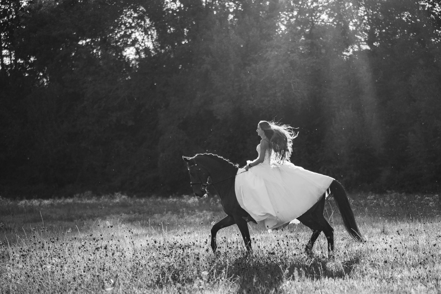 Thème-animal, pour une mariée spécialisée en dressage équin. Raffinement & élégance du geste, saisi par Eric Filliat. Mariage en Limousin