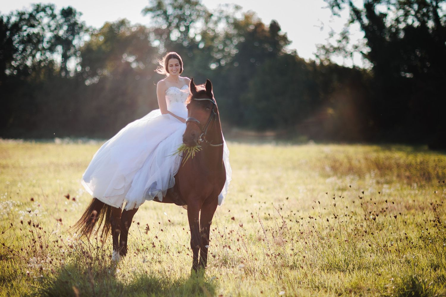 Moment simple et naturel où la mariée contemple son ami cheval brouter au pré. Moment authentique, par Eric Filliat. Photo en Lozère.