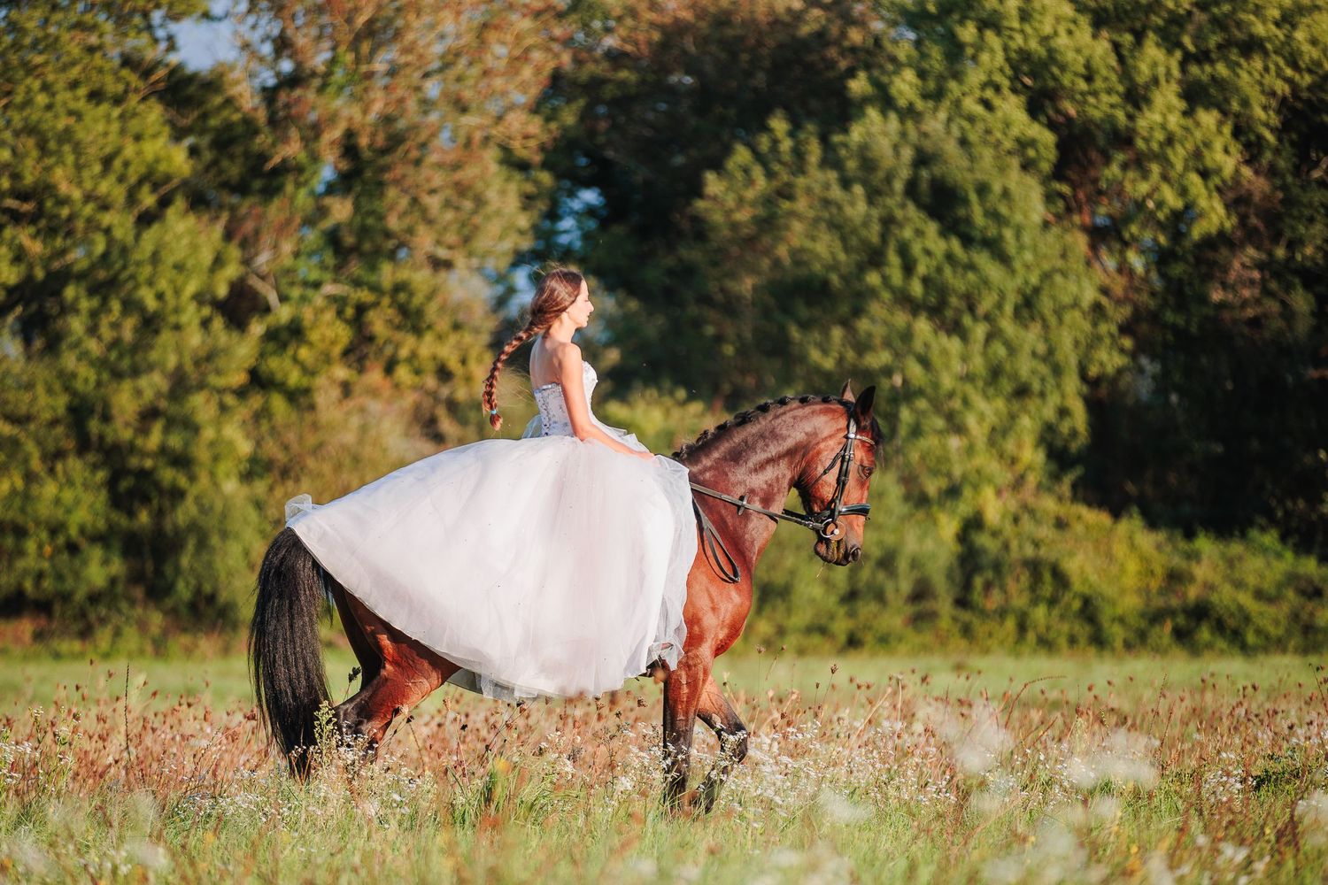 Préparation d'un mariage, thème équestre raffiné en Limousin, par Eric Filliat, photographe couple, famille et animaux.