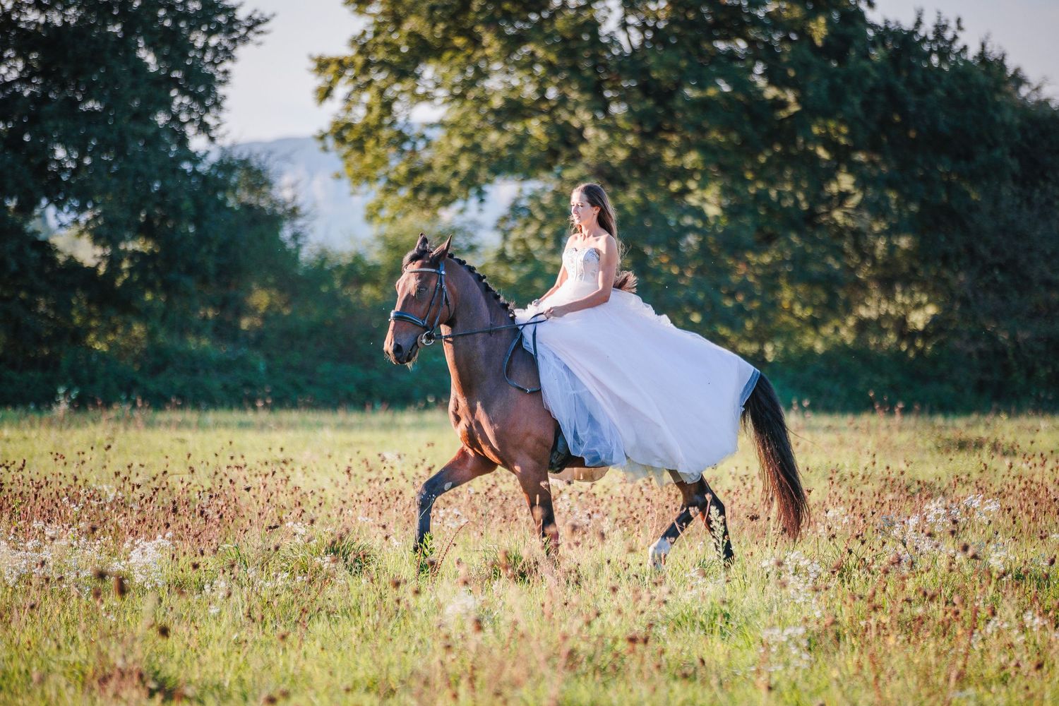 Shooting mariage élégant d'une cavalière en robe, style naturel, par Eric Filliat, photographe lifestyle et portrait vers Clermont-Ferrand