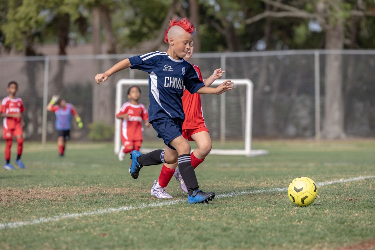 Action-packed soccer photo showing energy,, teamwork, and determination on the field.