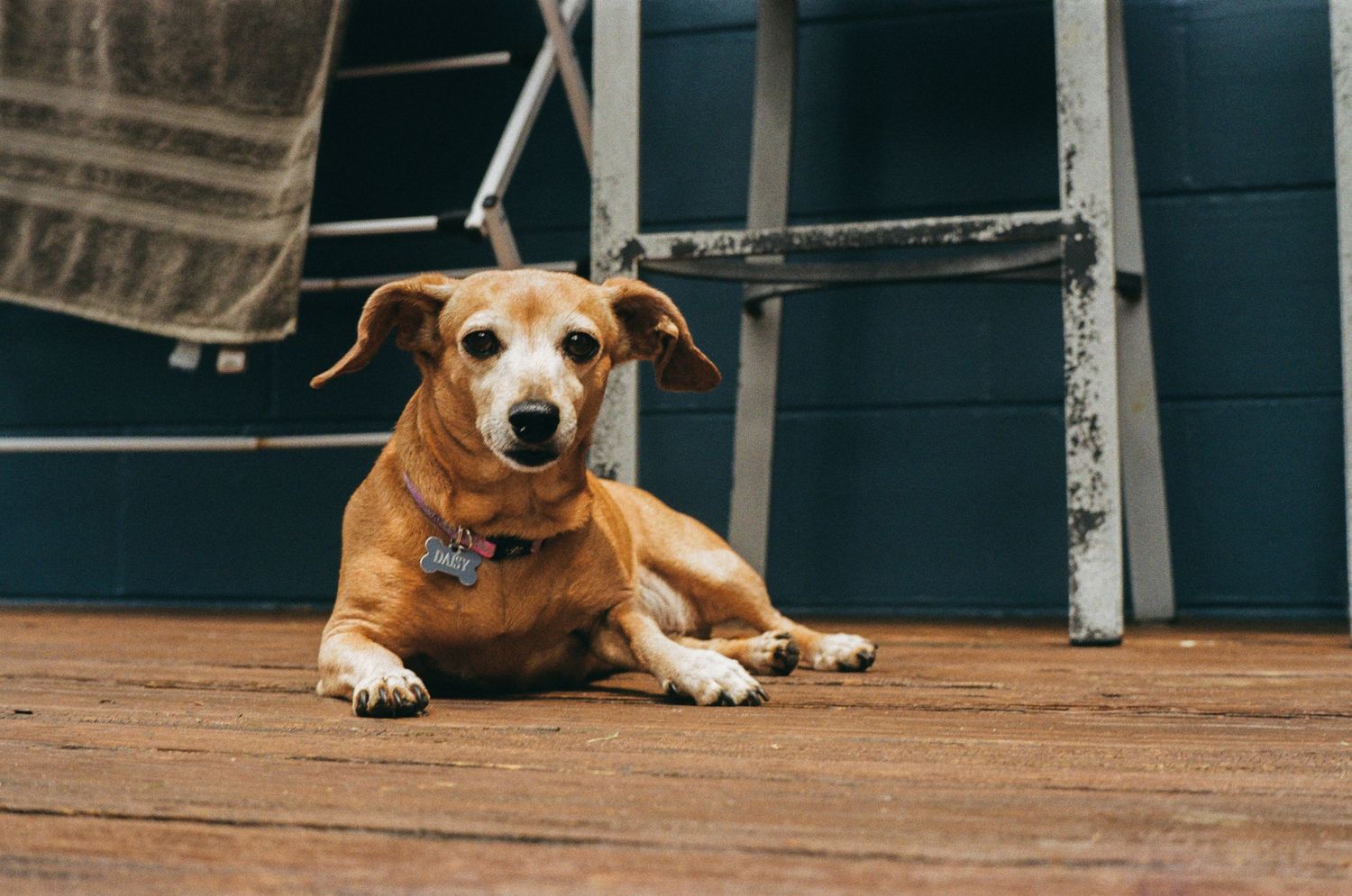 35mm film photo in Gainesville, Florida