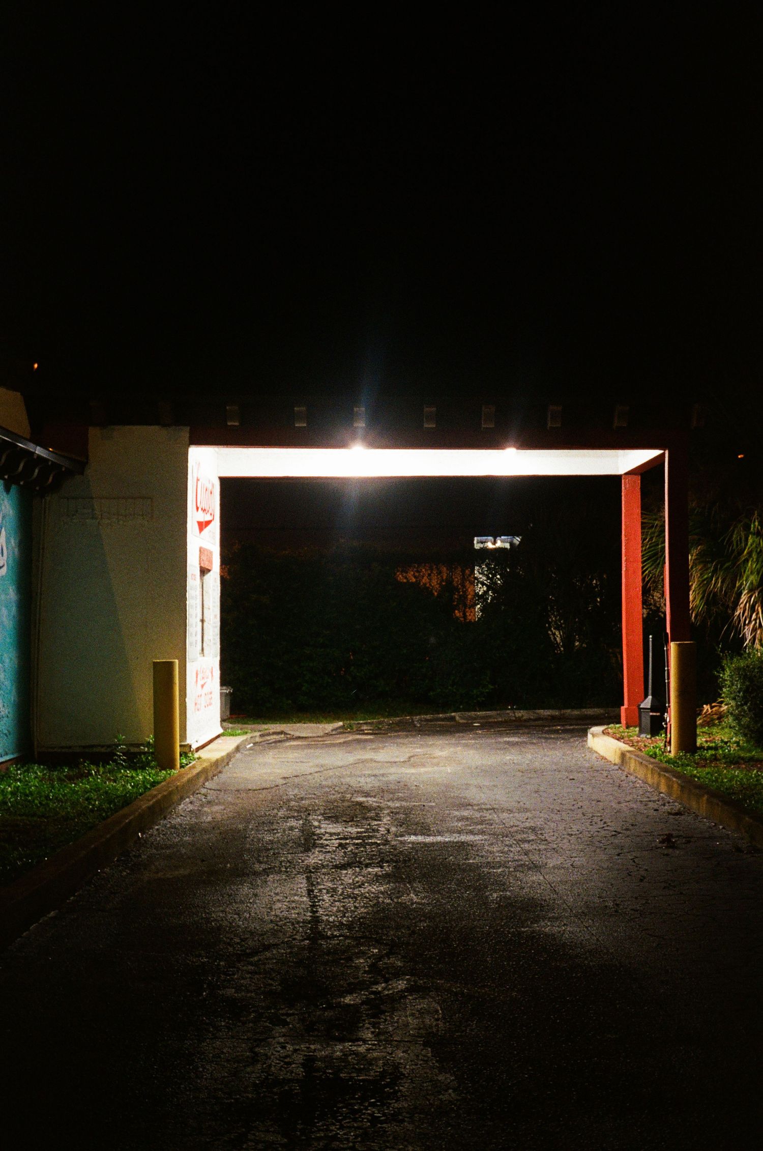 35mm film photo in Gainesville, Florida