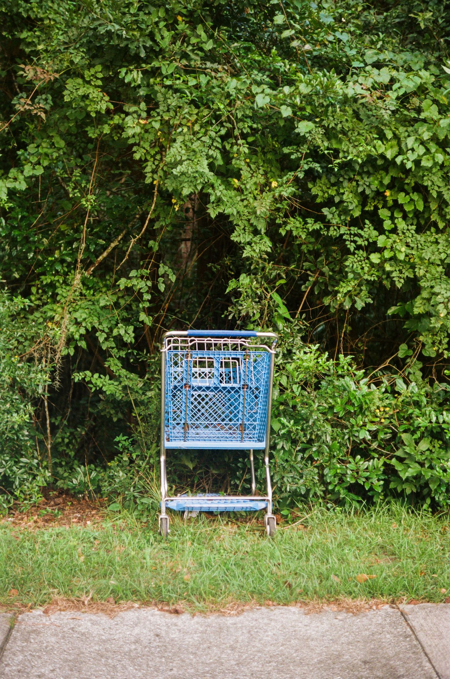 35mm film photo in Gainesville, Florida