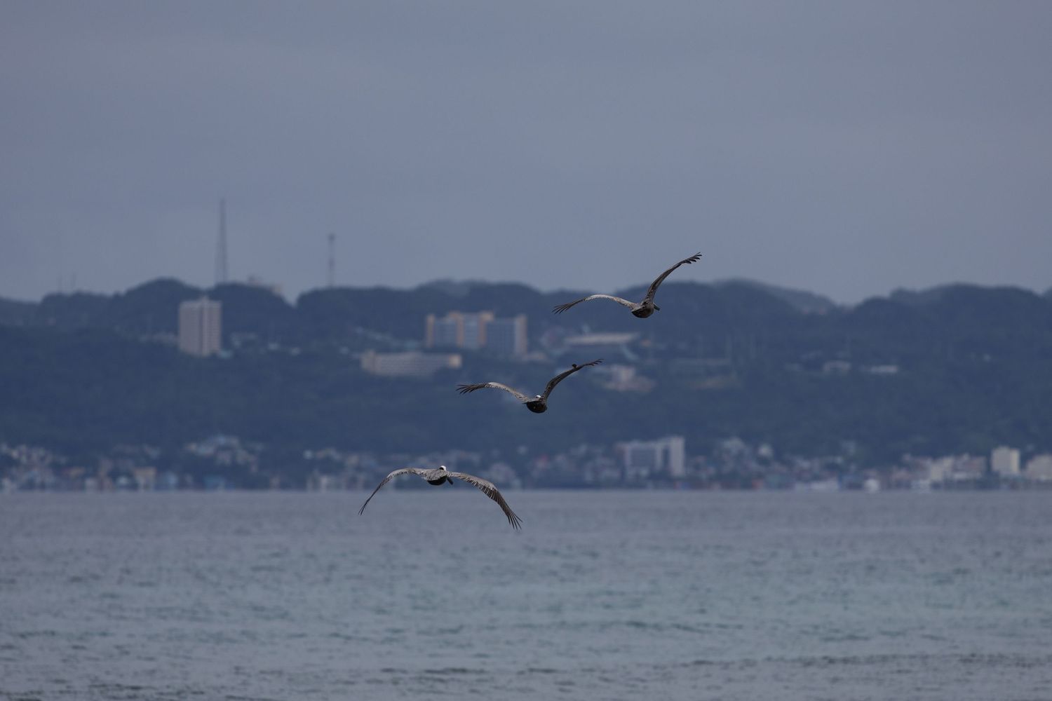 Travel photo in Puerto Rico