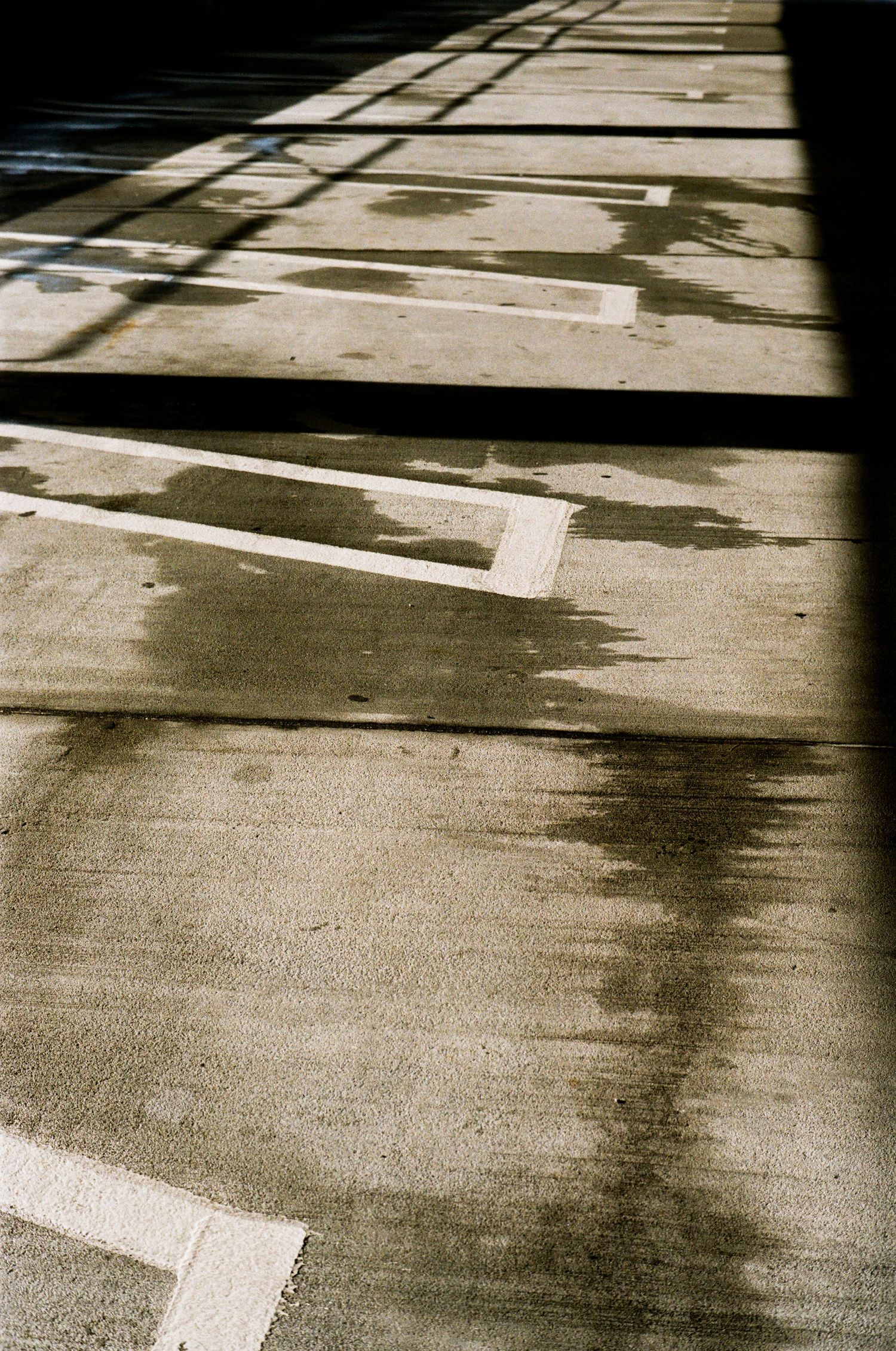 35mm film photo in Orlando, Florida