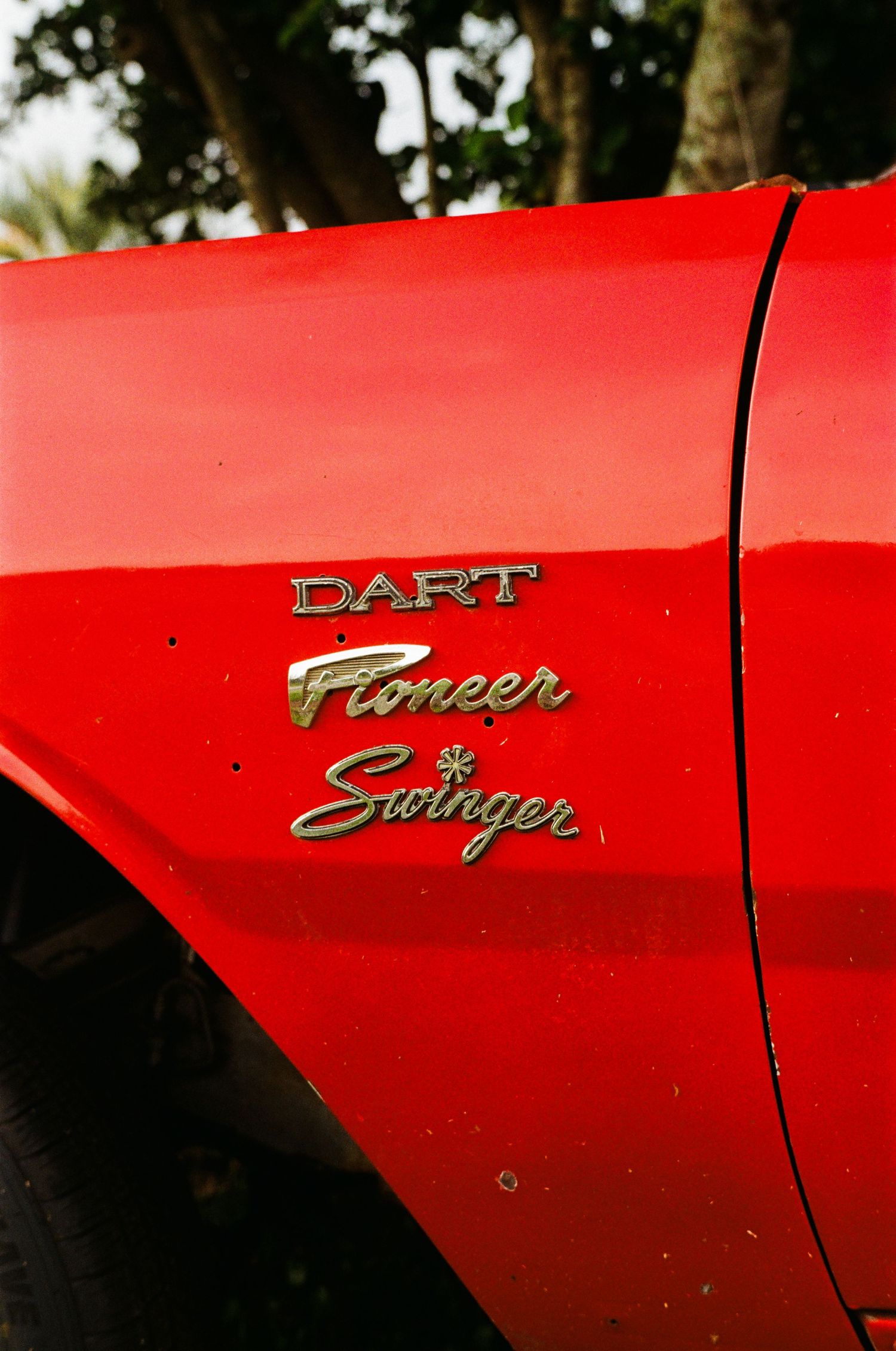 35mm film photo in Gainesville, Florida