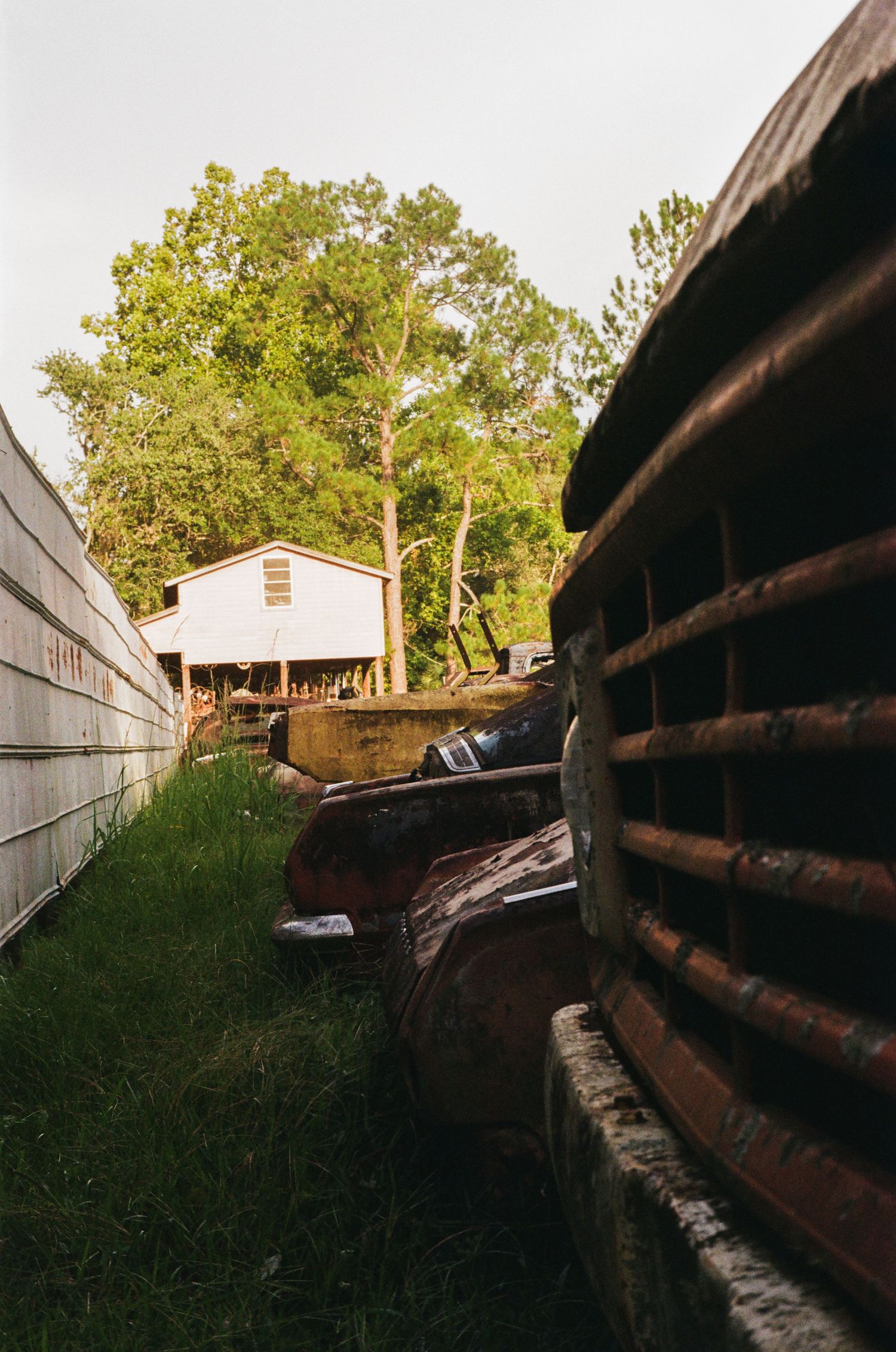35mm film photo in Gainesville, Florida