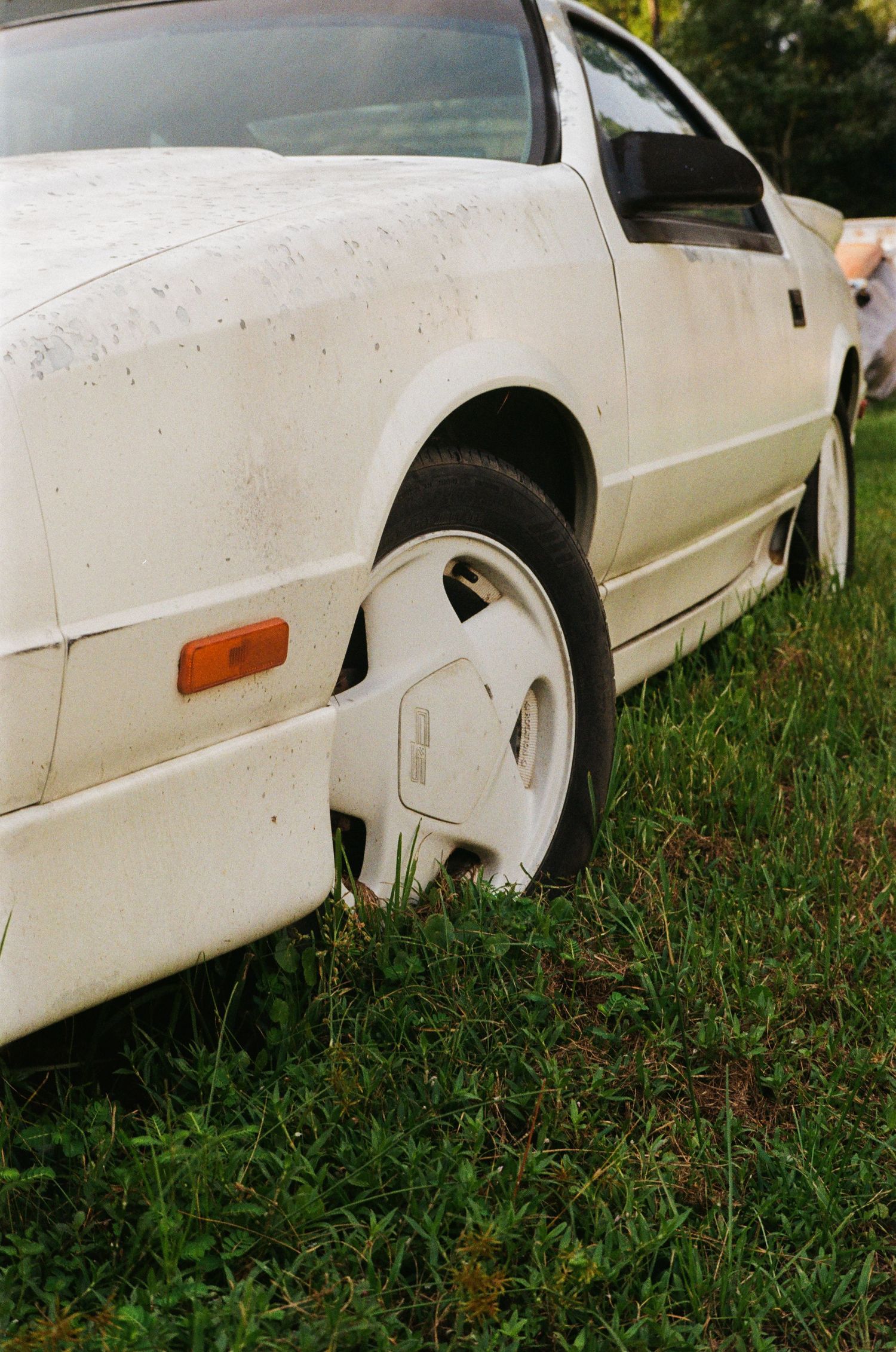 35mm film photo in Gainesville, Florida