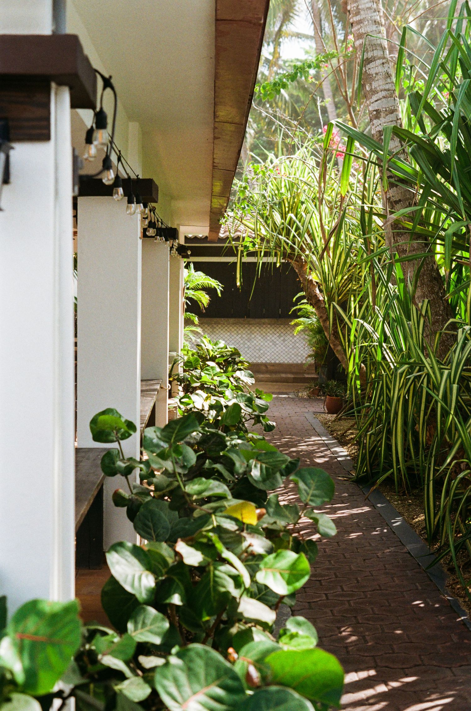 35mm film photo in Puerto Rico