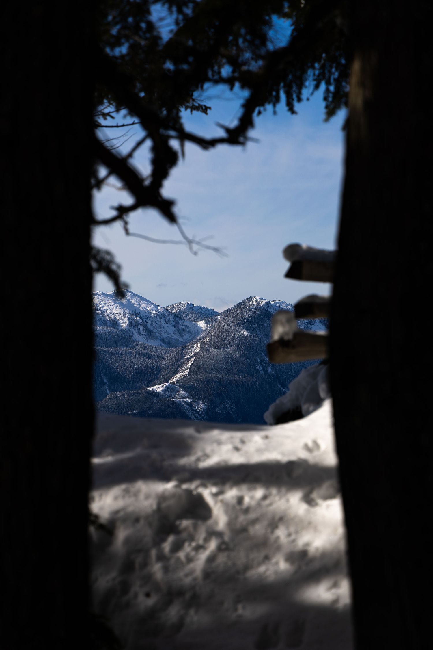 Travel photo in Surrey, BC, Canada